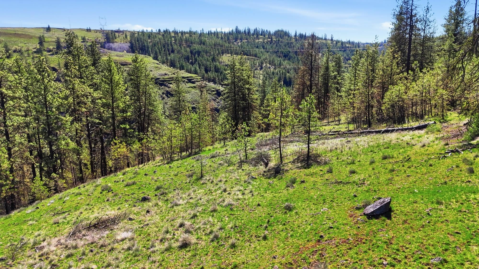 NKA- Hawk Creek Ranches - Photo 6