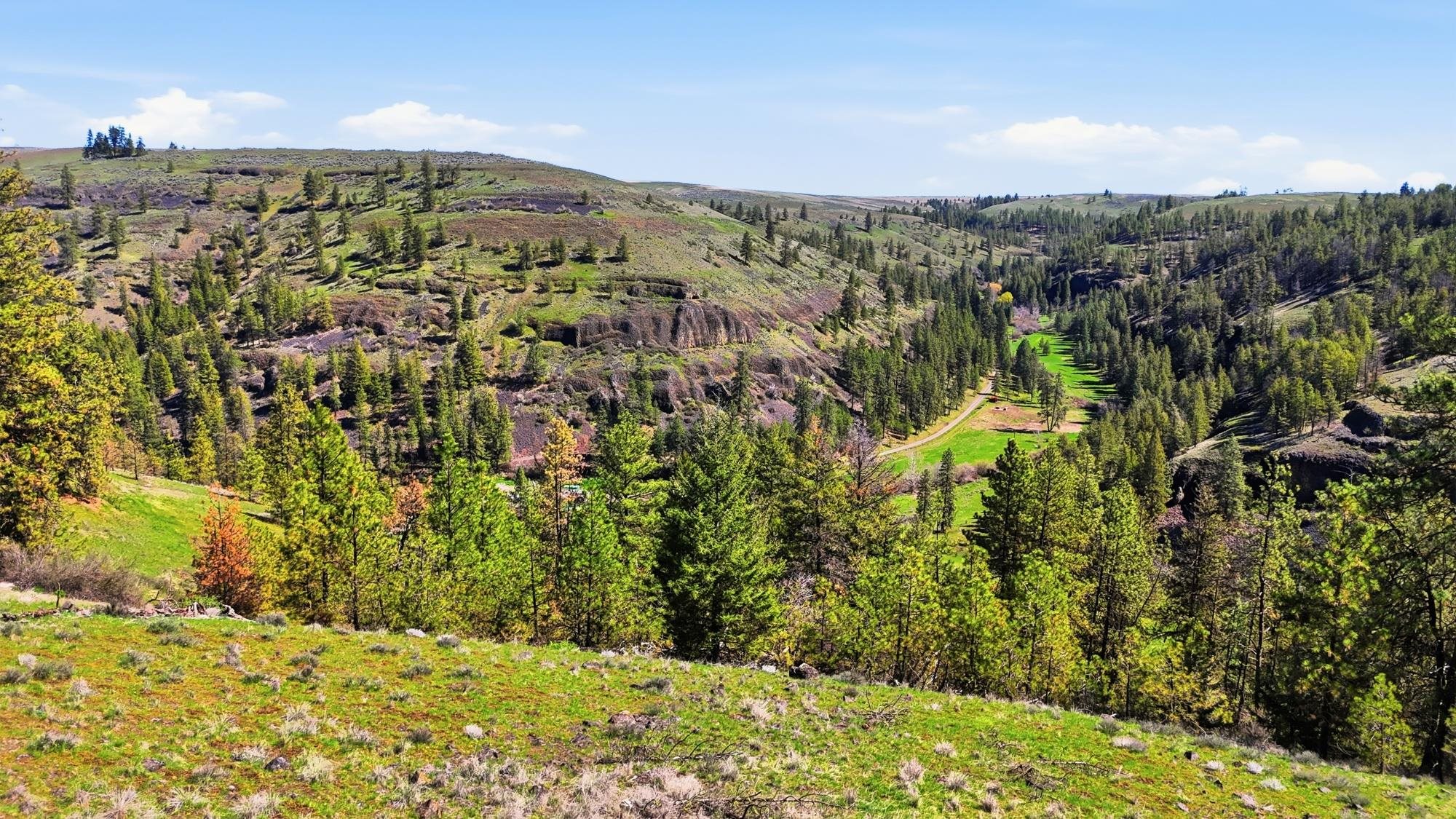 NKA- Hawk Creek Ranches - Photo 7