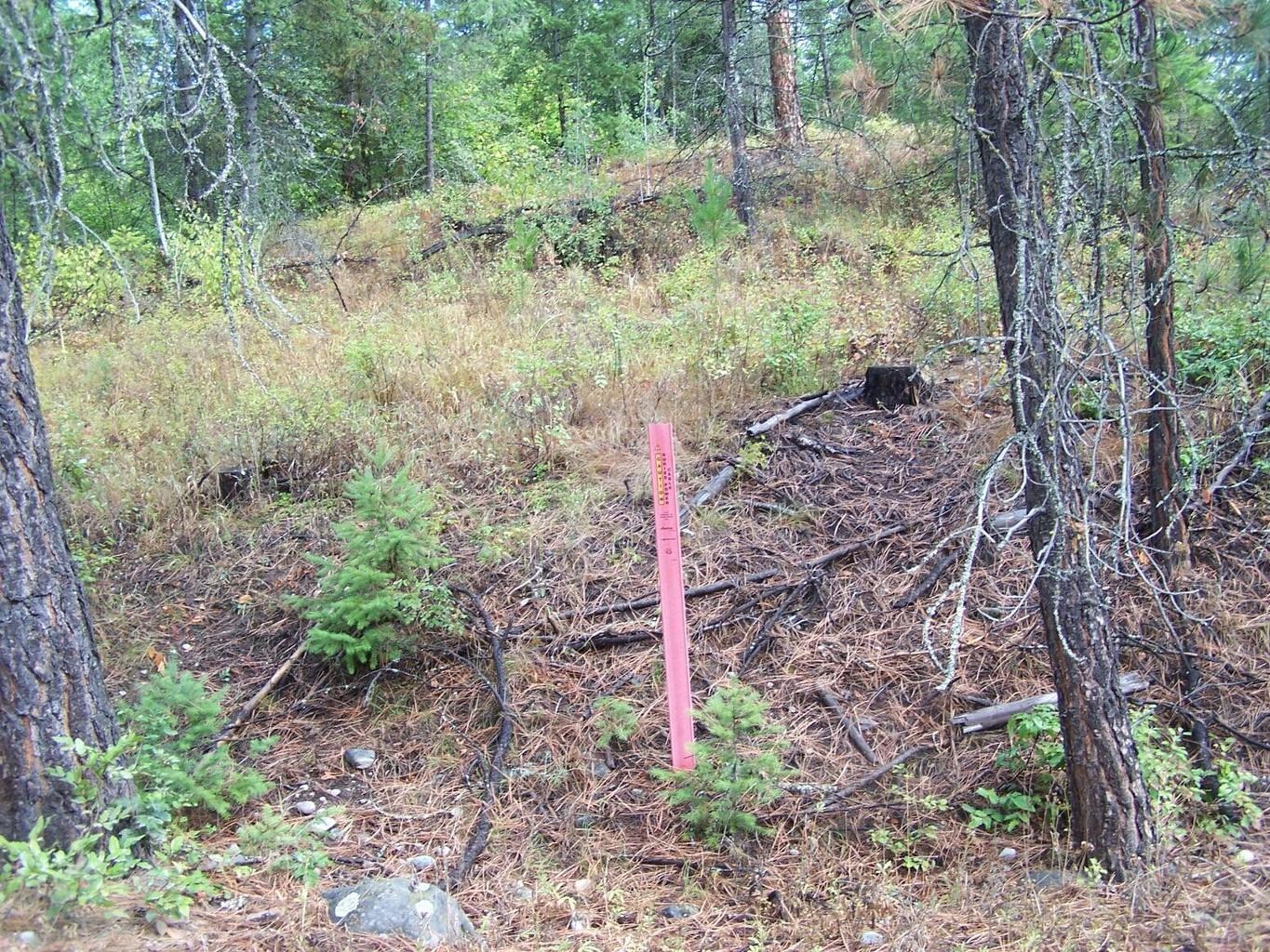 3XXX Lot #13 Larkspur Way - Photo 4