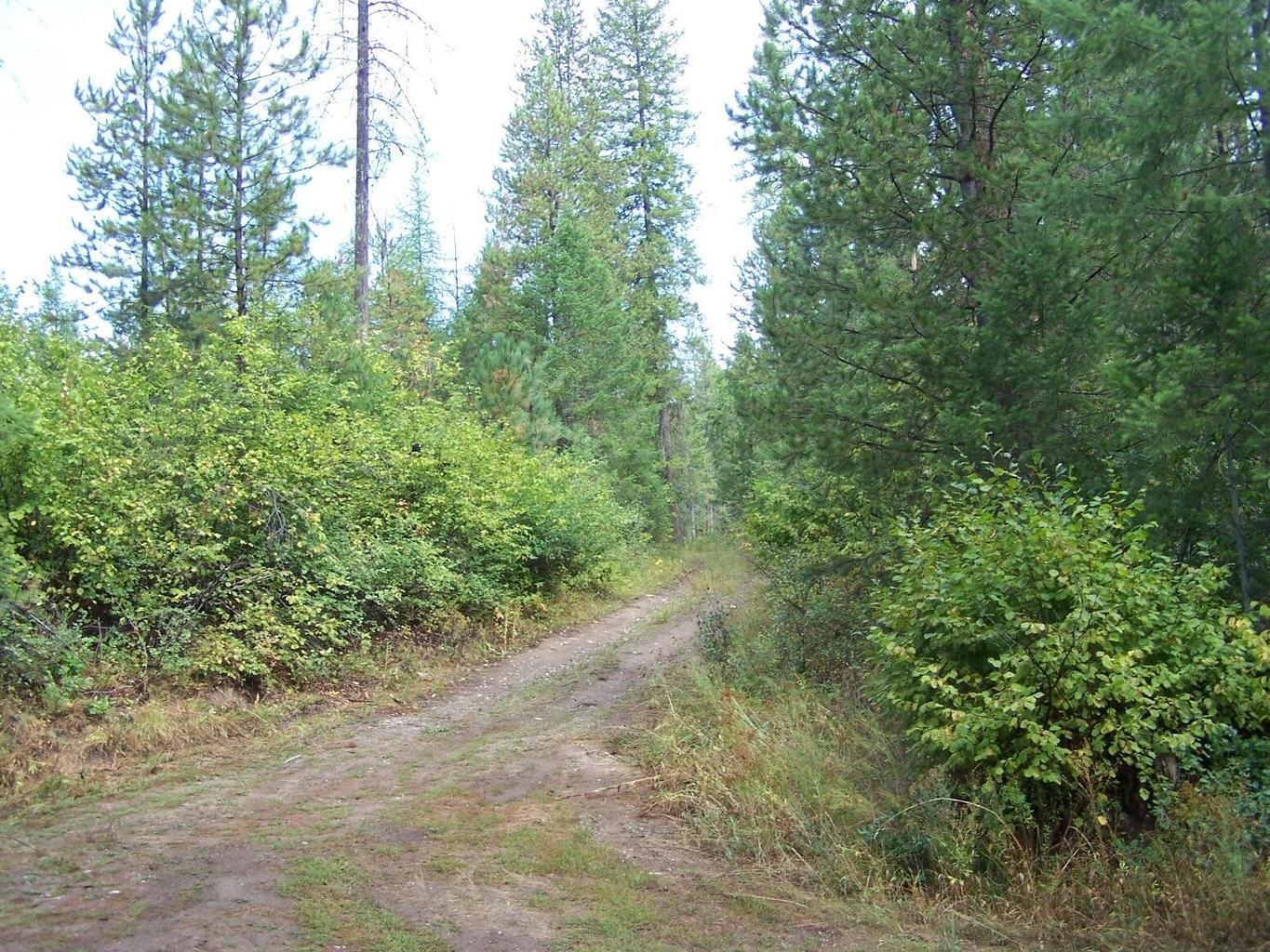 3XXX Lot #13 Larkspur Way - Photo 6