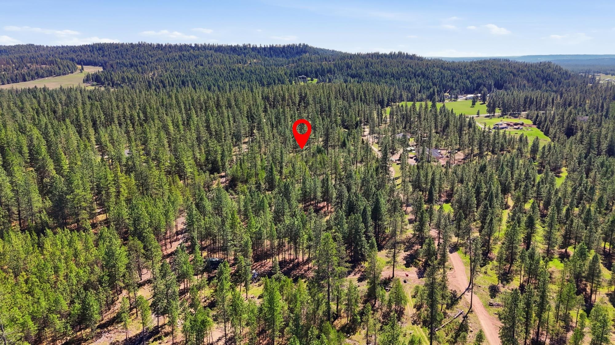6XXX E Elk Chattaroy Rd - Photo 11