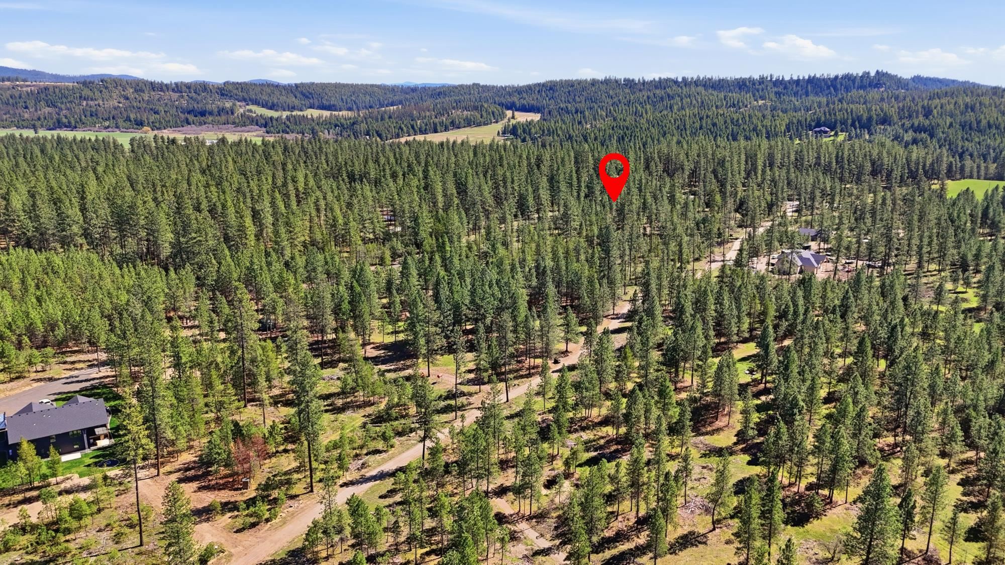 6XXX E Elk Chattaroy Rd - Photo 12