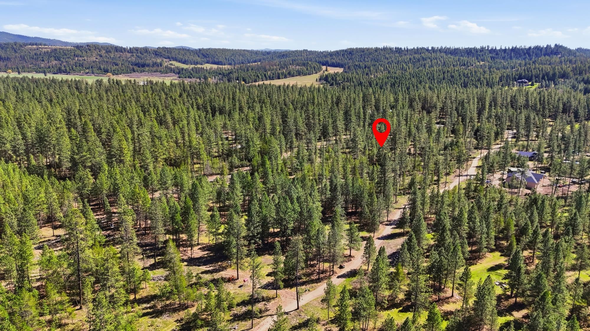 6XXX E Elk Chattaroy Rd - Photo 13