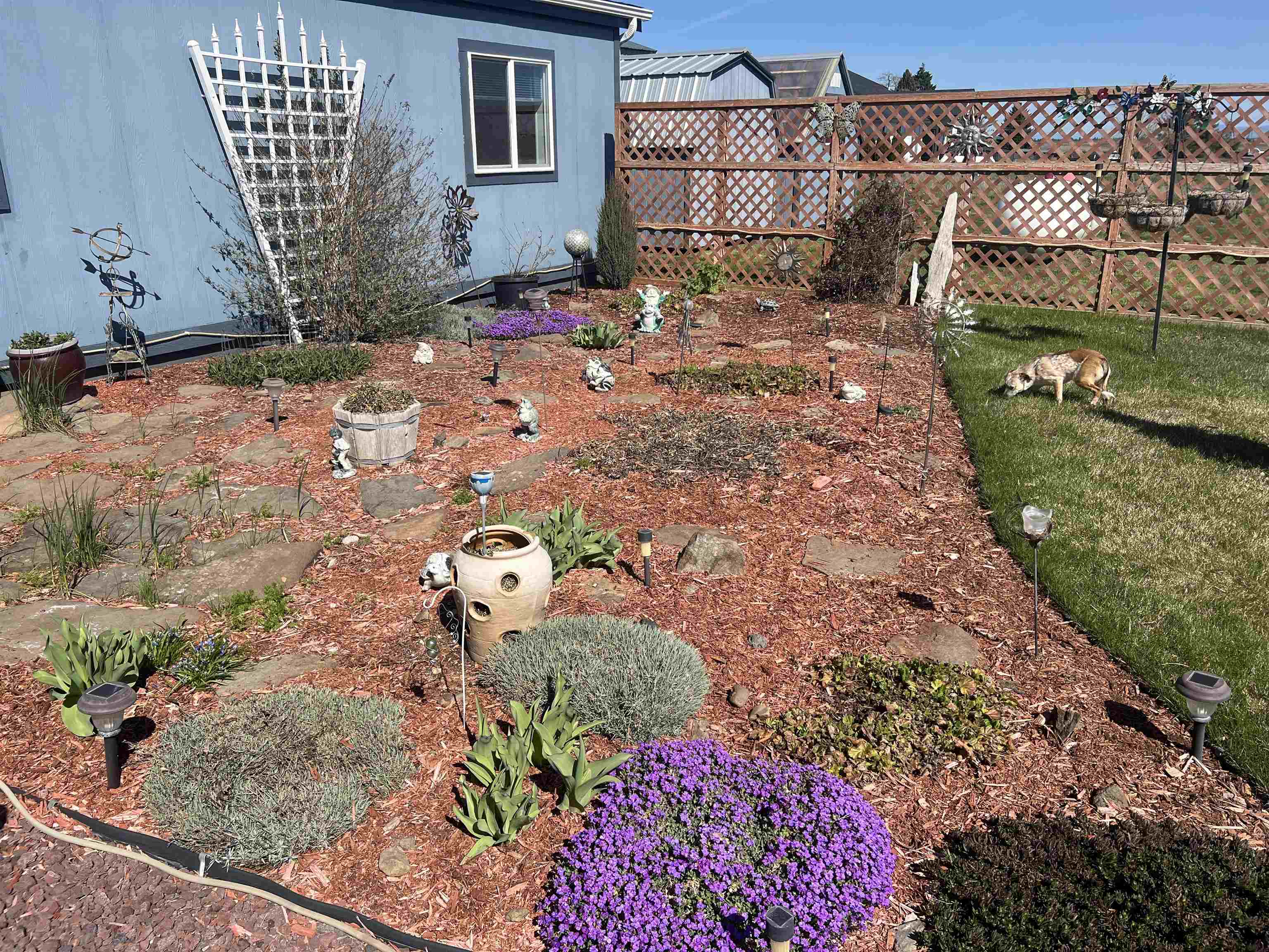 14211 W W Mirage Ln - Photo 22