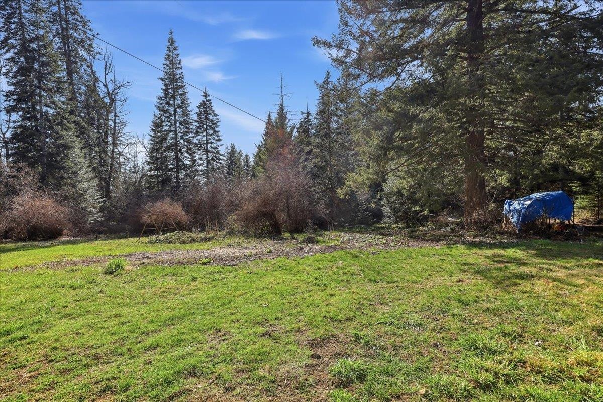 2541 Nicholson Rd - Photo 28