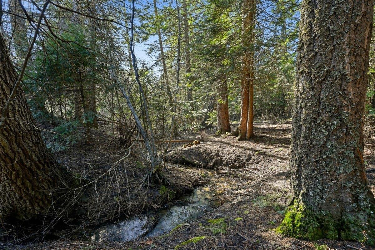 2541 Nicholson Rd - Photo 29