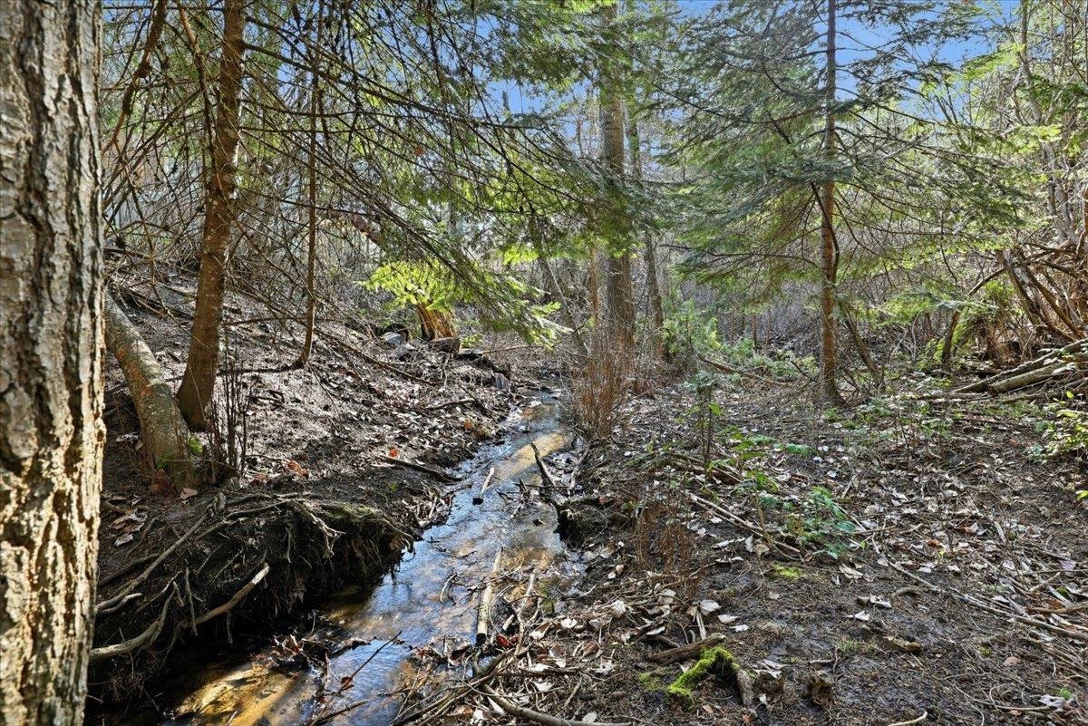 2541 Nicholson Rd - Photo 30