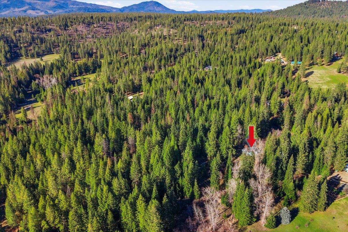 2541 Nicholson Rd - Photo 33