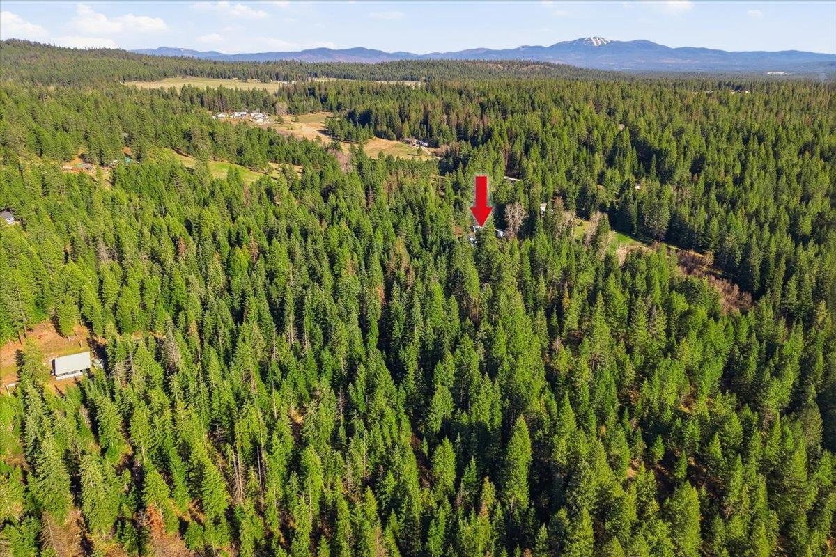 2541 Nicholson Rd - Photo 34