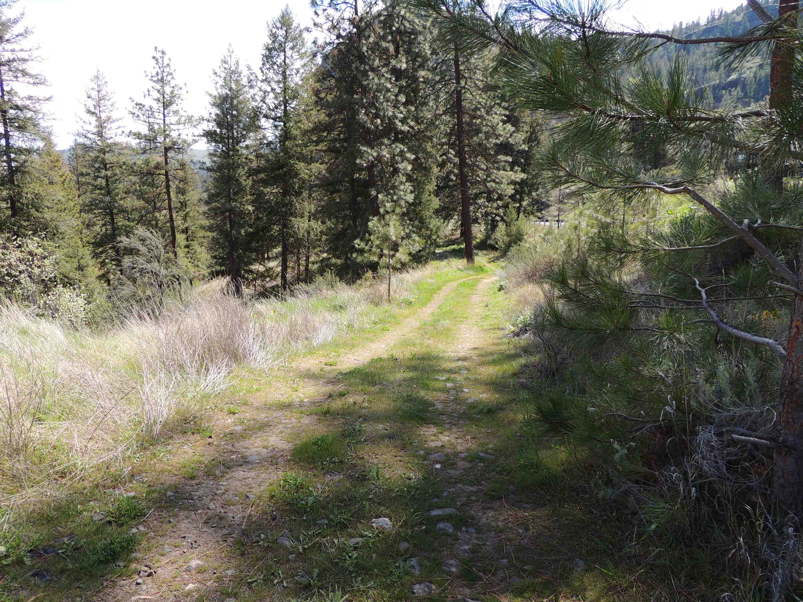39395 Bluff Overlook Pt. N - Photo 3