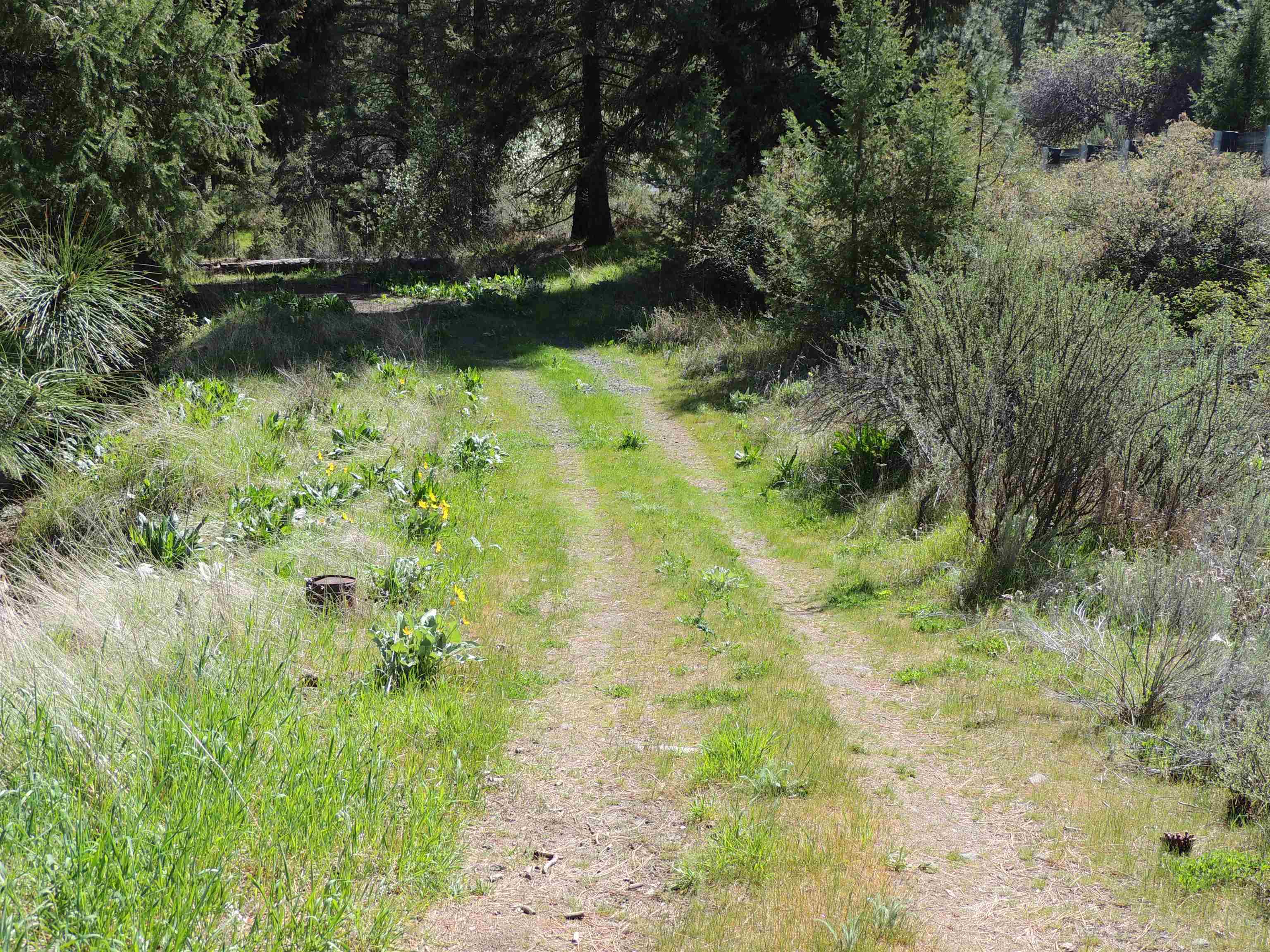 39395 Bluff Overlook Pt. N - Photo 8