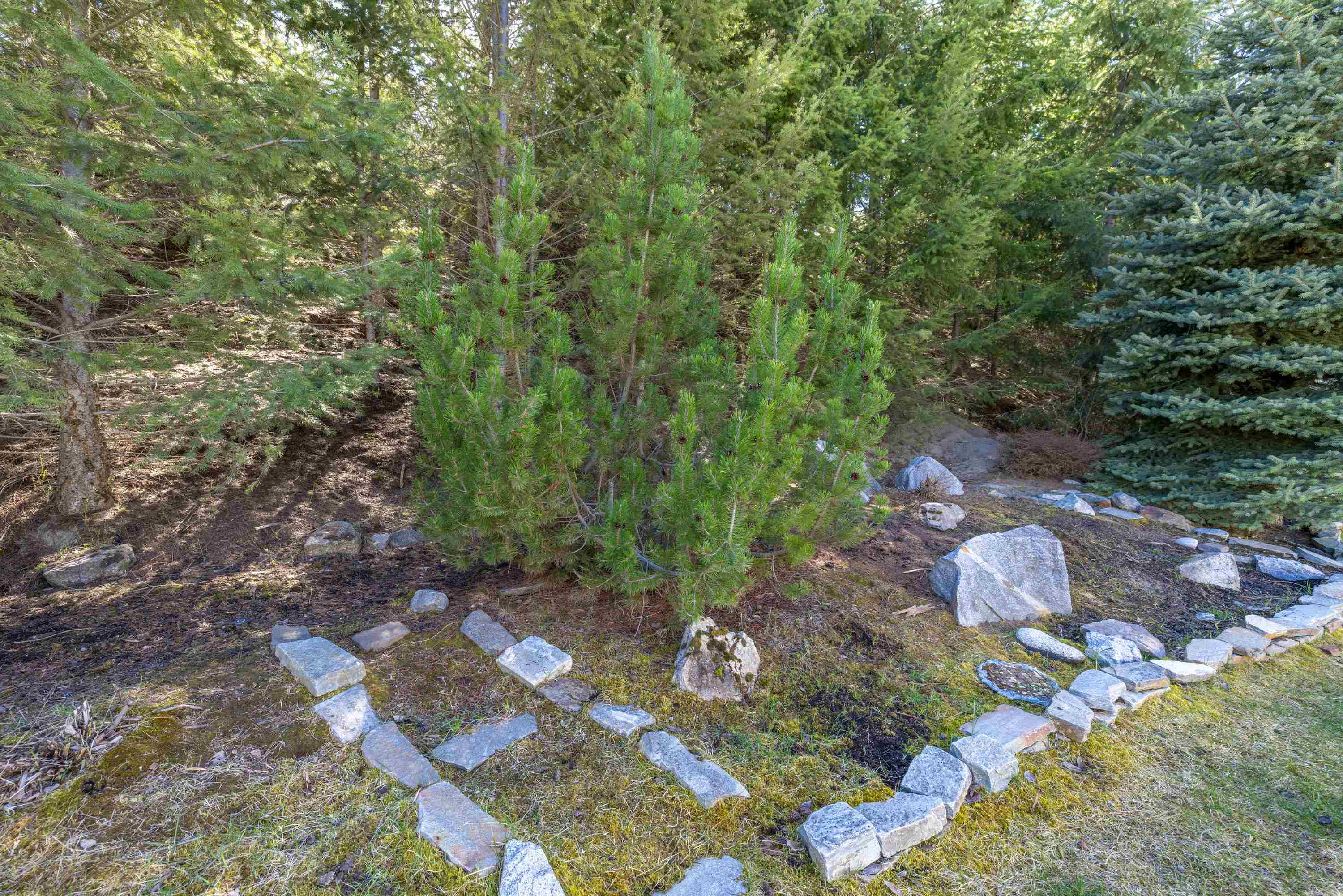 6009 Ruby Way - Photo 25