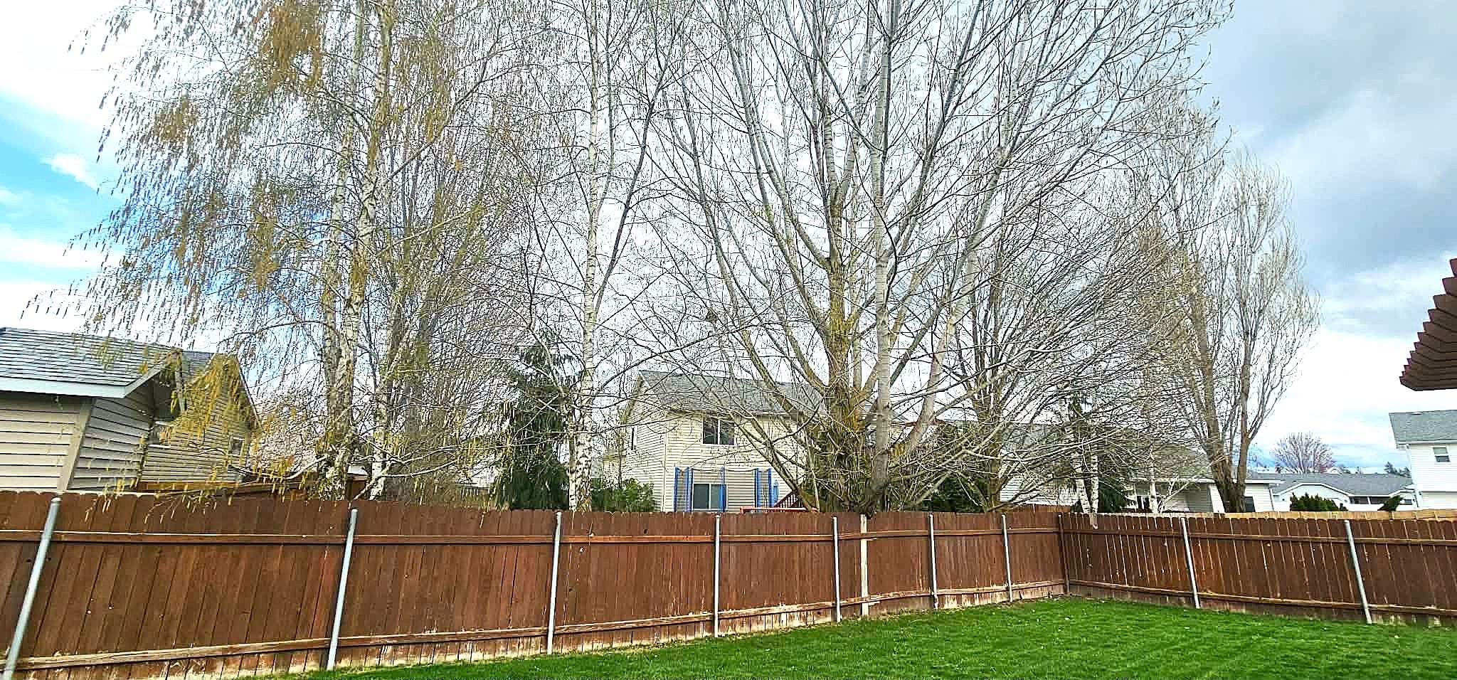 826 N Kelsea St - Photo 35