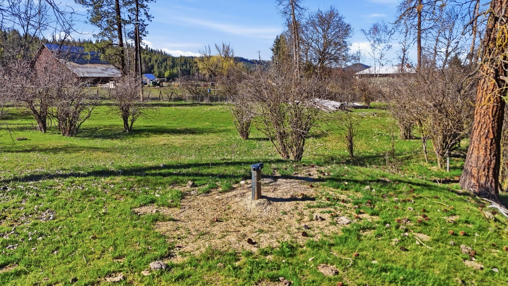 3564 Long Prairie Rd - Photo 17