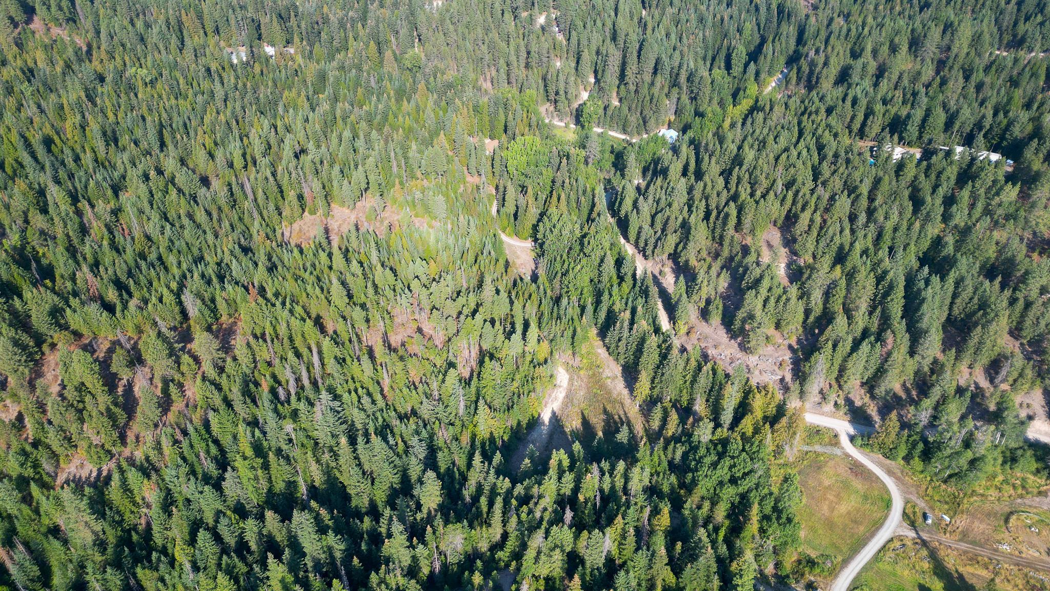 20104 E Mountain View Rd - Photo 16