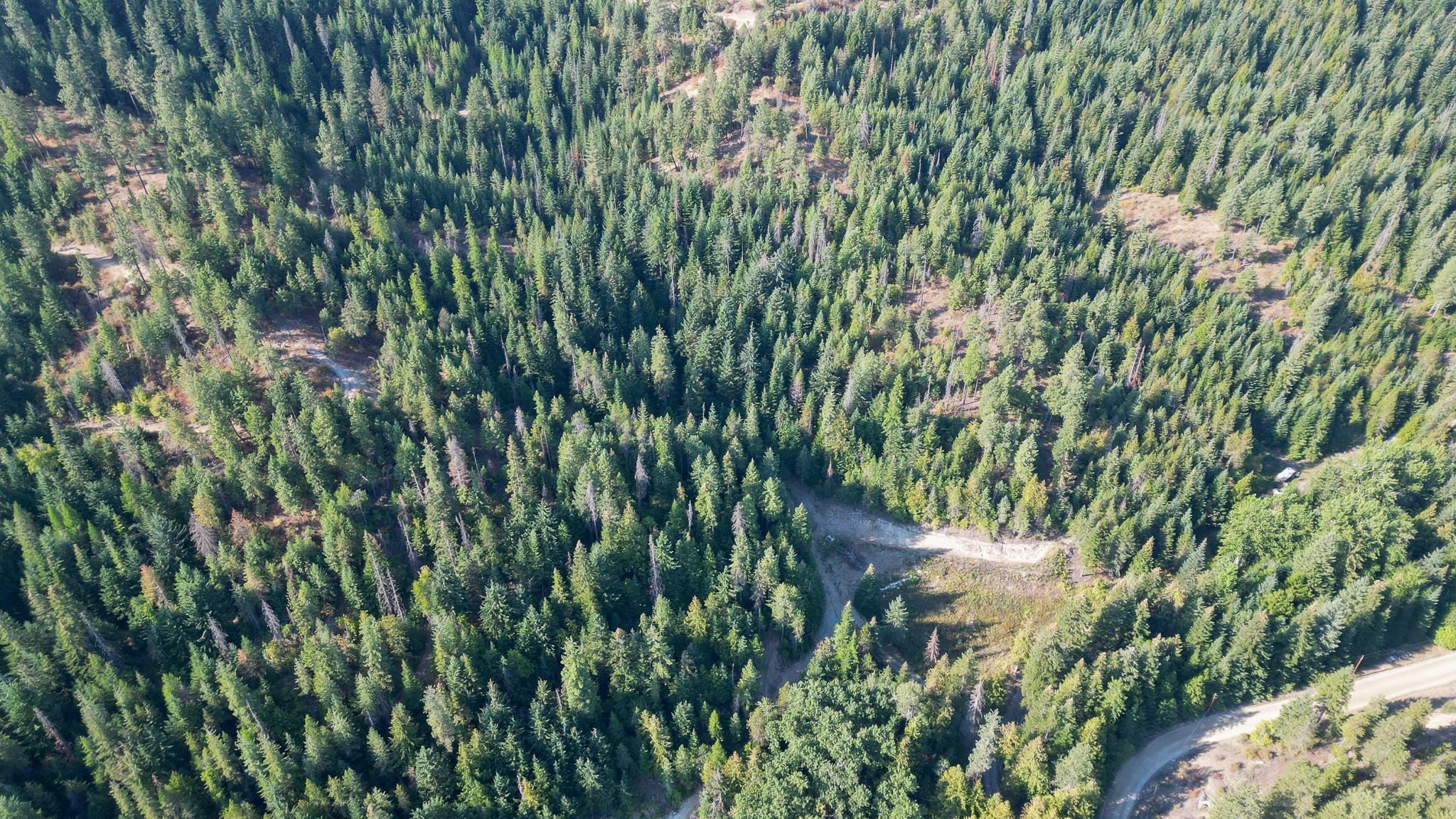 20104 E Mountain View Rd - Photo 17