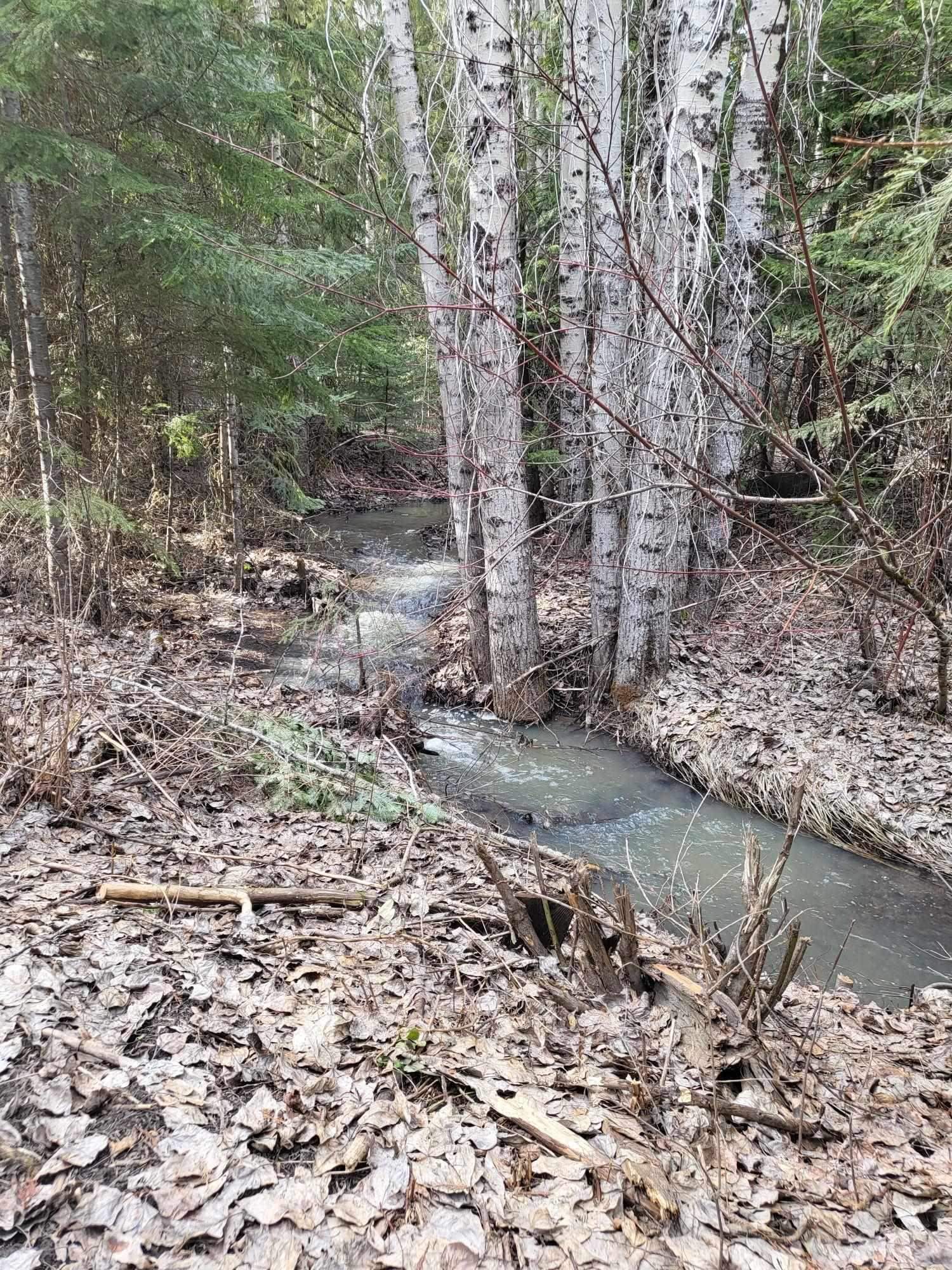 20104 E Mountain View Rd - Photo 21