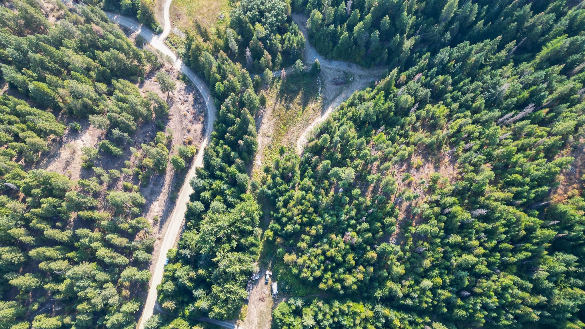 20104 E Mountain View Rd - Photo 4