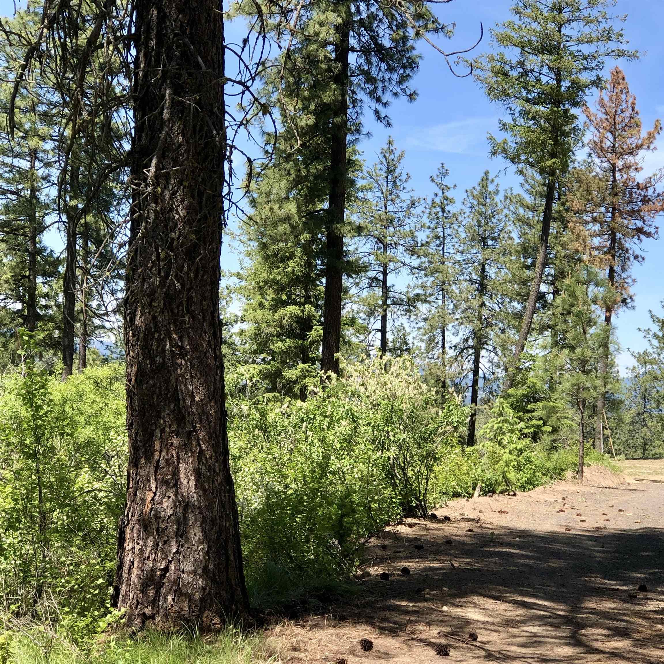 S Swenson Rd - Photo 20