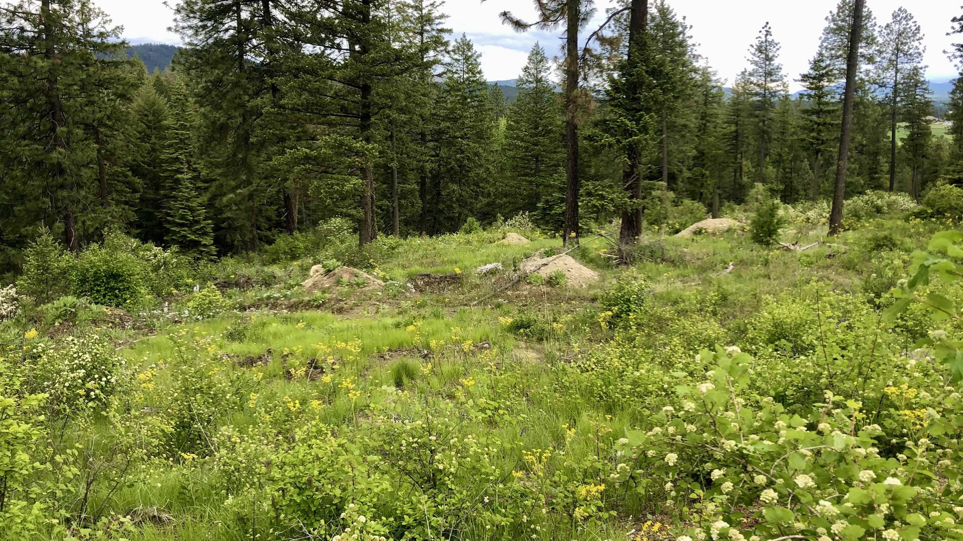S Swenson Rd - Photo 22