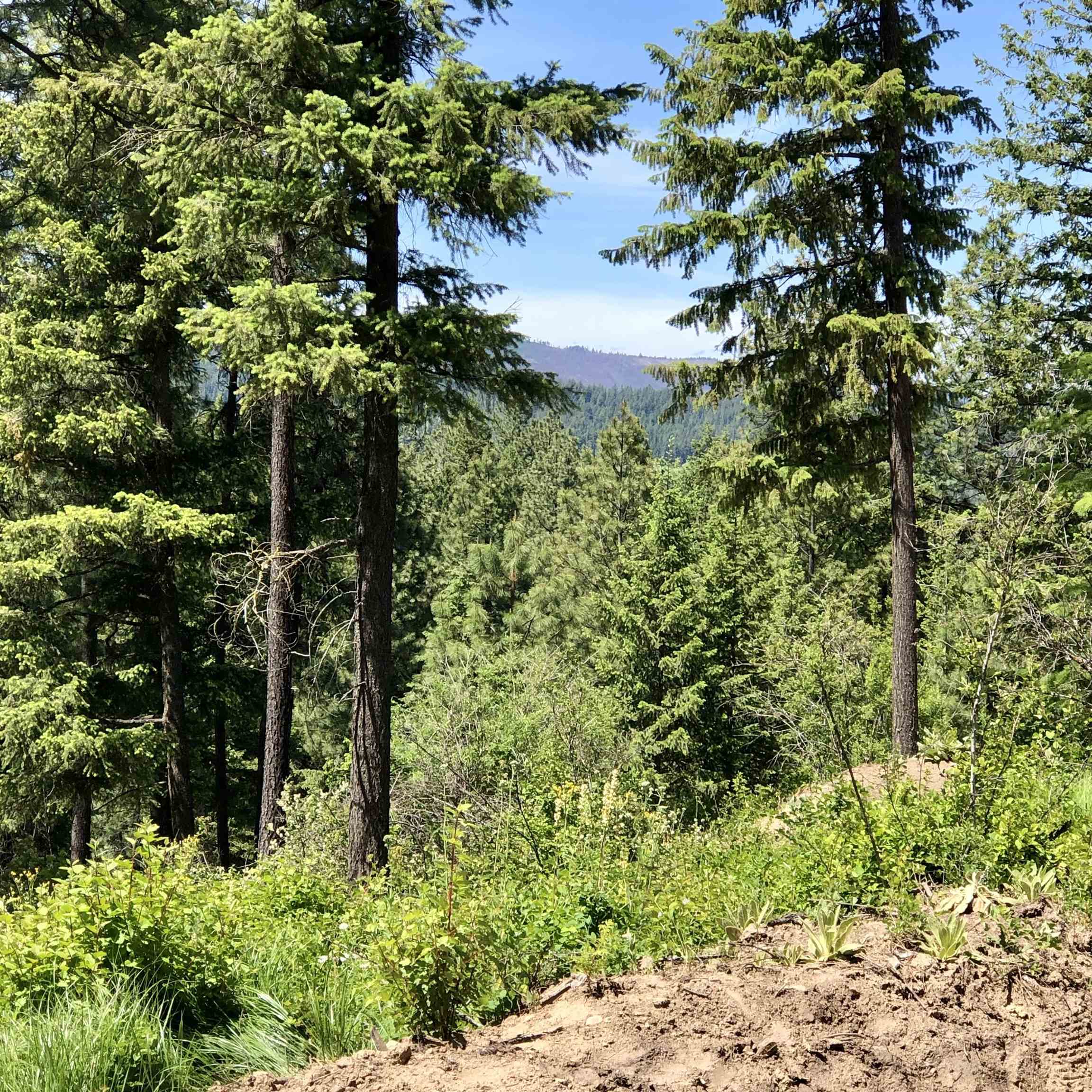 S Swenson Rd - Photo 23