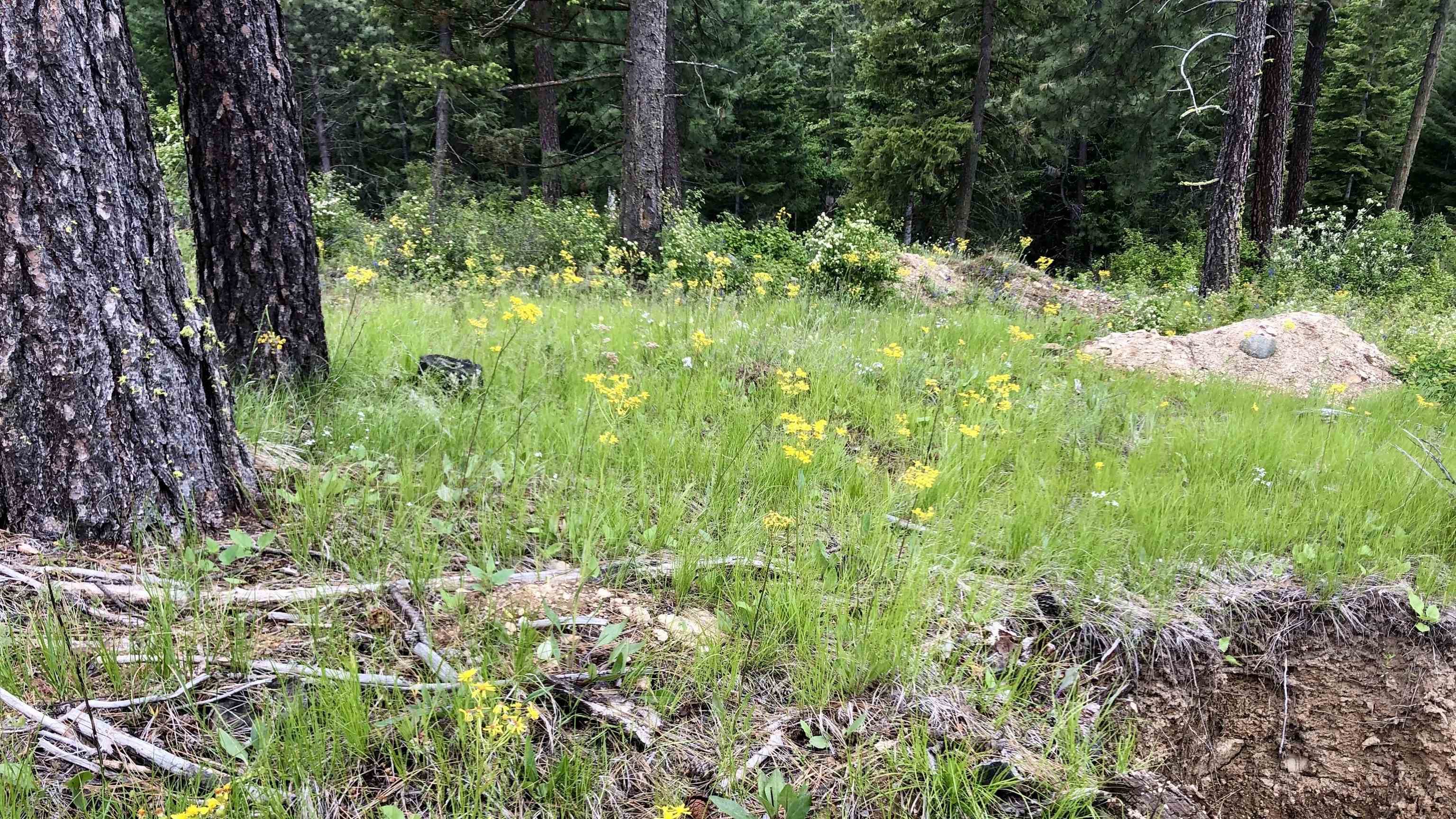 S Swenson Rd - Photo 35