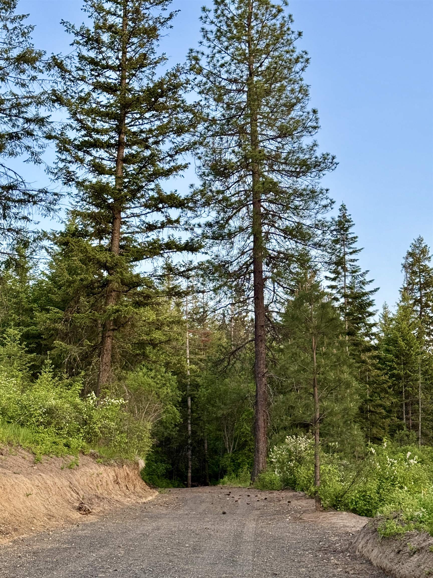 S Swenson Rd - Photo 37