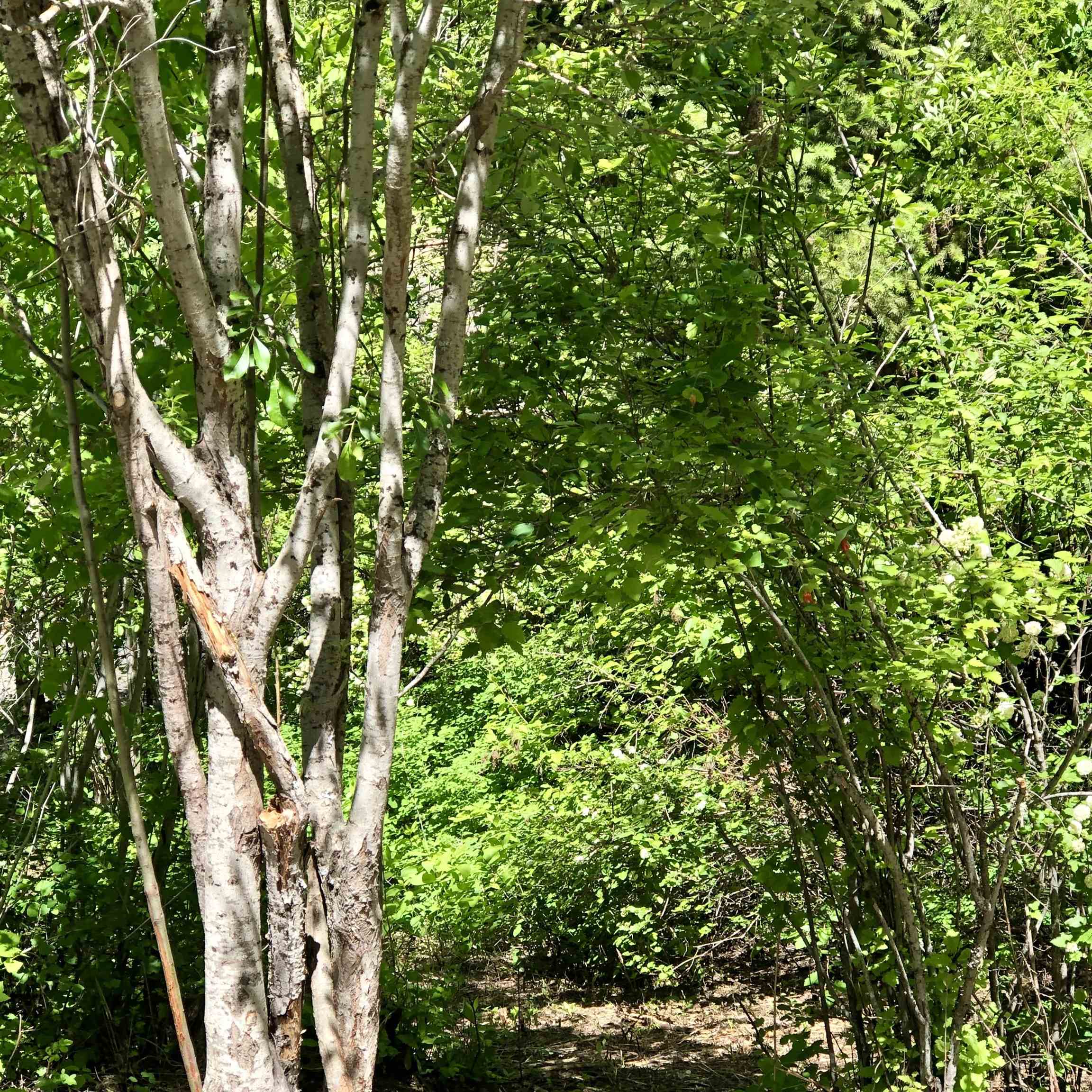 S Swenson Rd - Photo 42