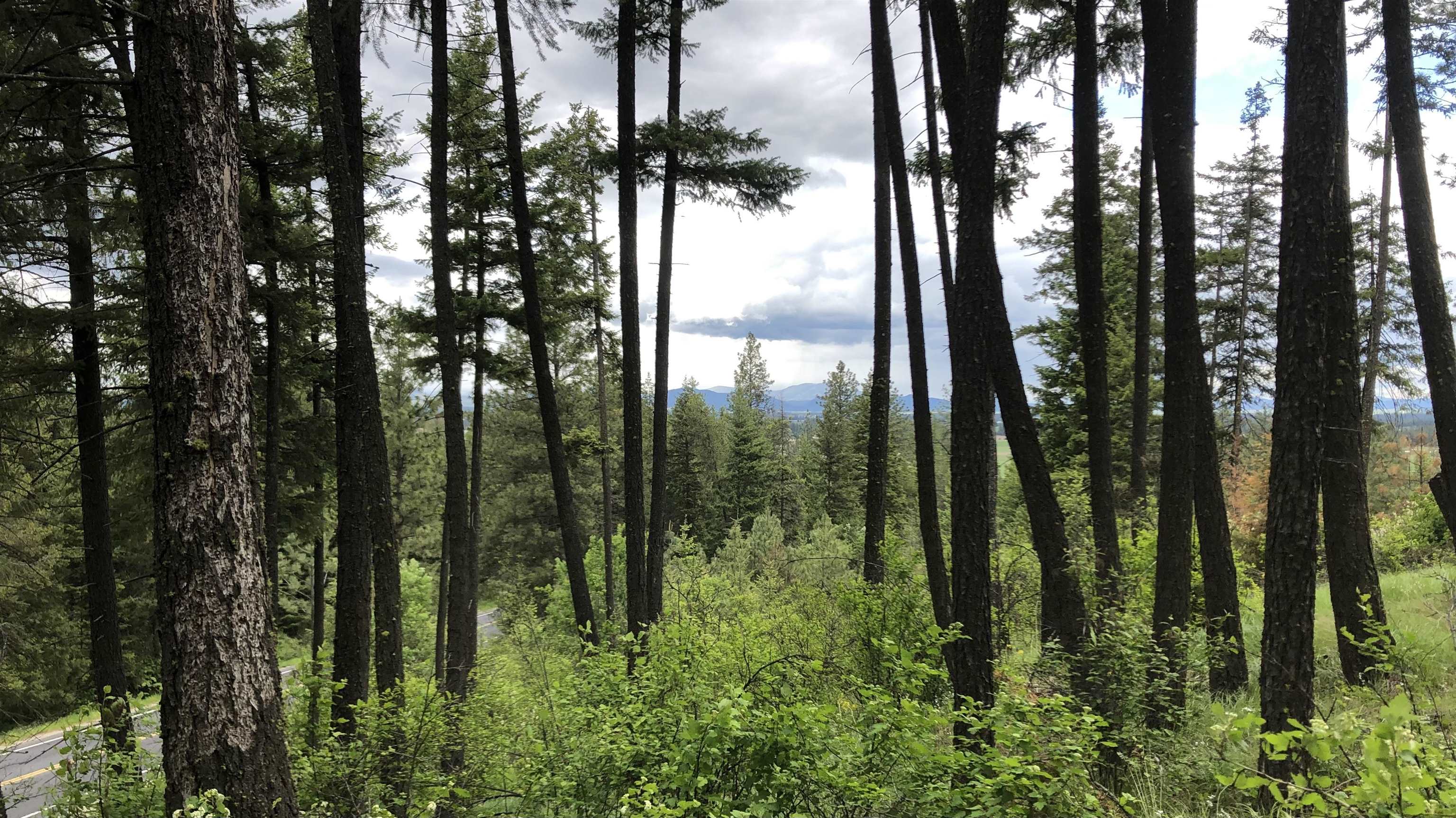S Swenson Rd - Photo 10