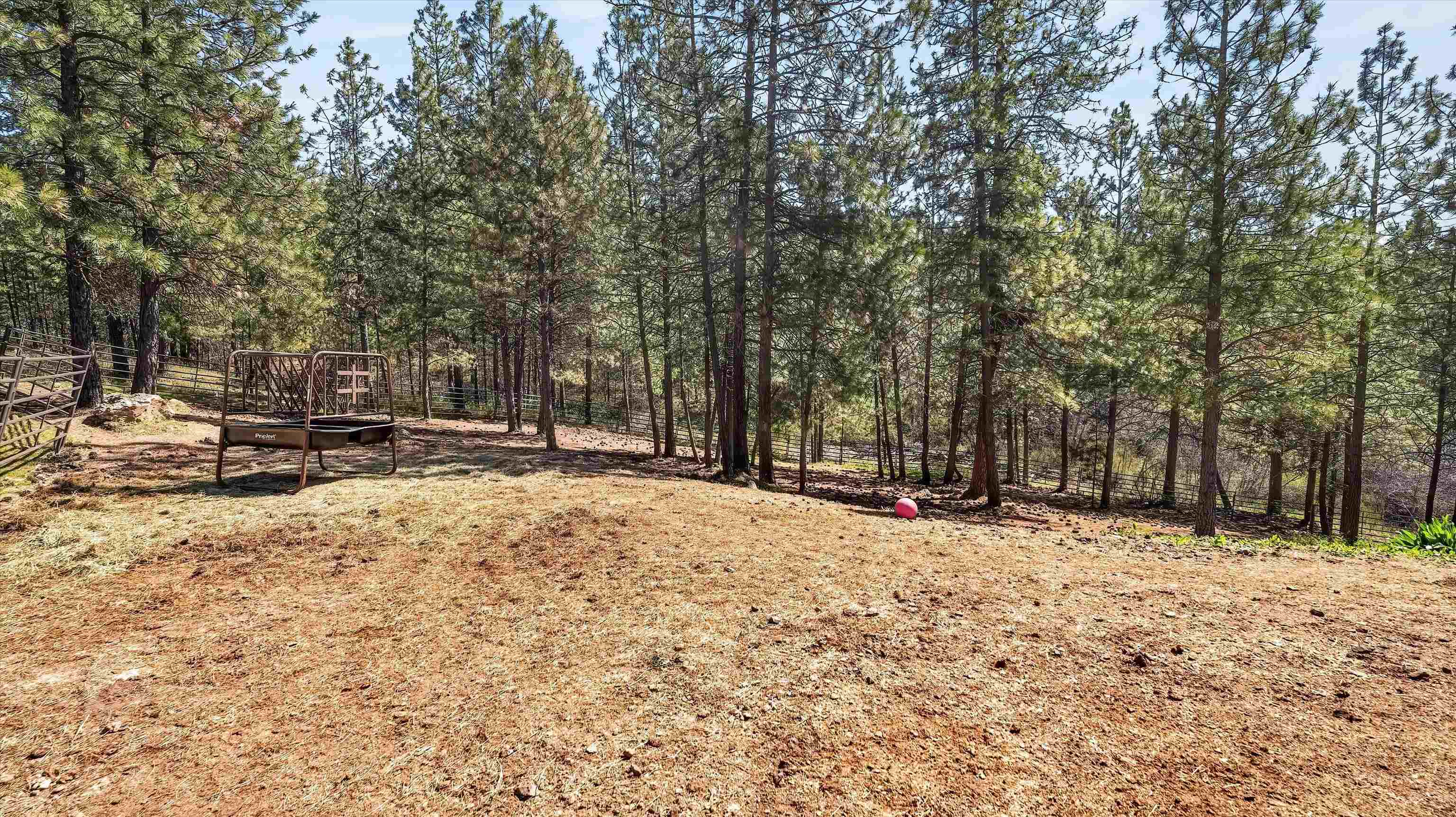 6528 E Robin Ln - Photo 42