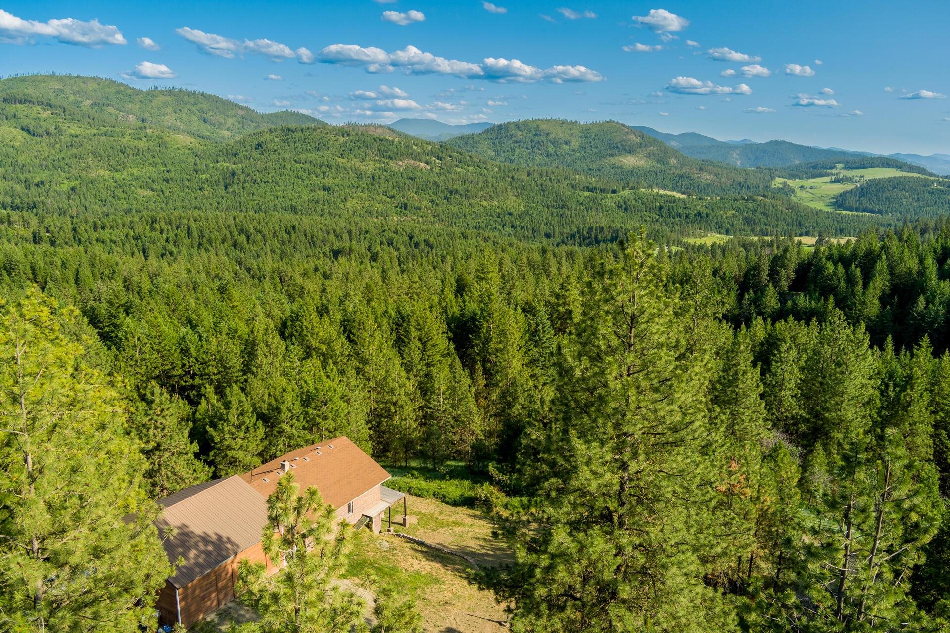 2264 - B Scott Rd - Photo 4