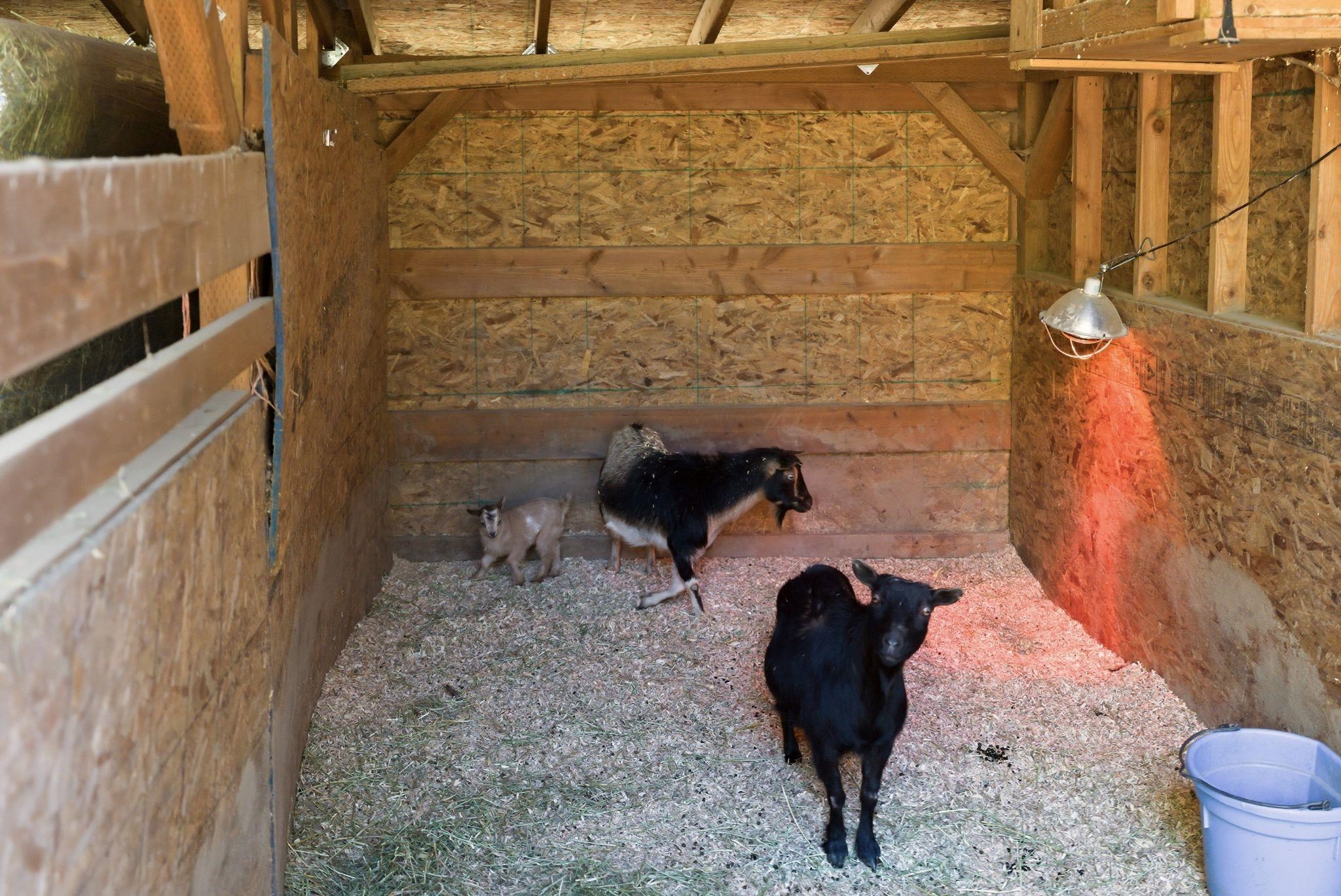 28411 N Short Rd - Photo 30