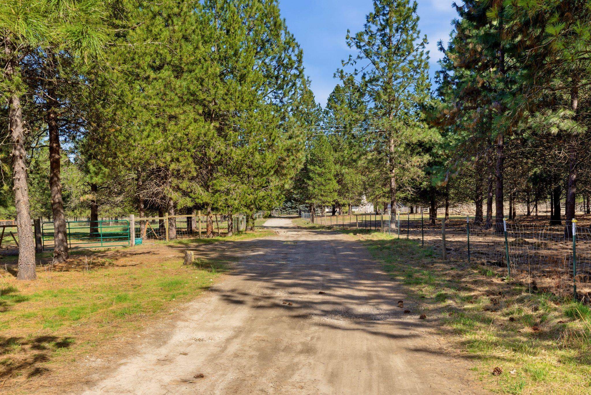 28411 N Short Rd - Photo 32
