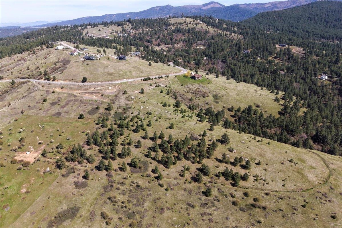 4002 Quinimose Rd - Photo 3