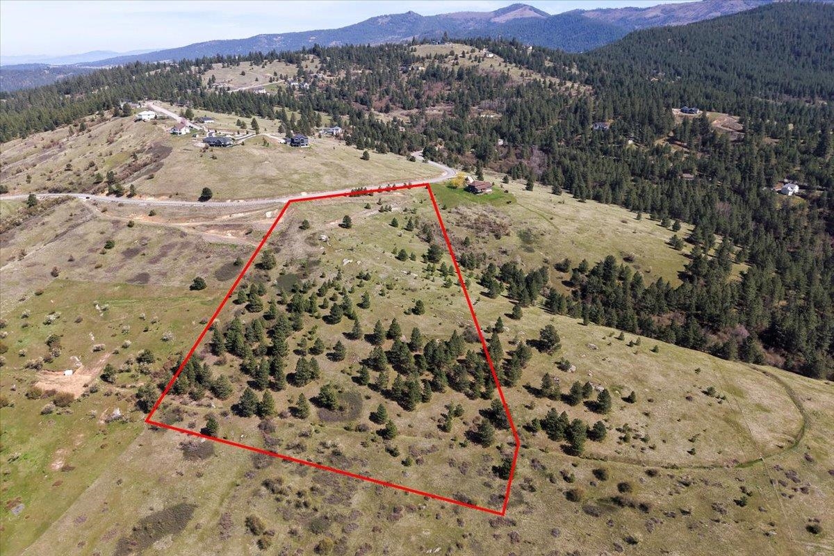4002 Quinimose Rd - Photo 4