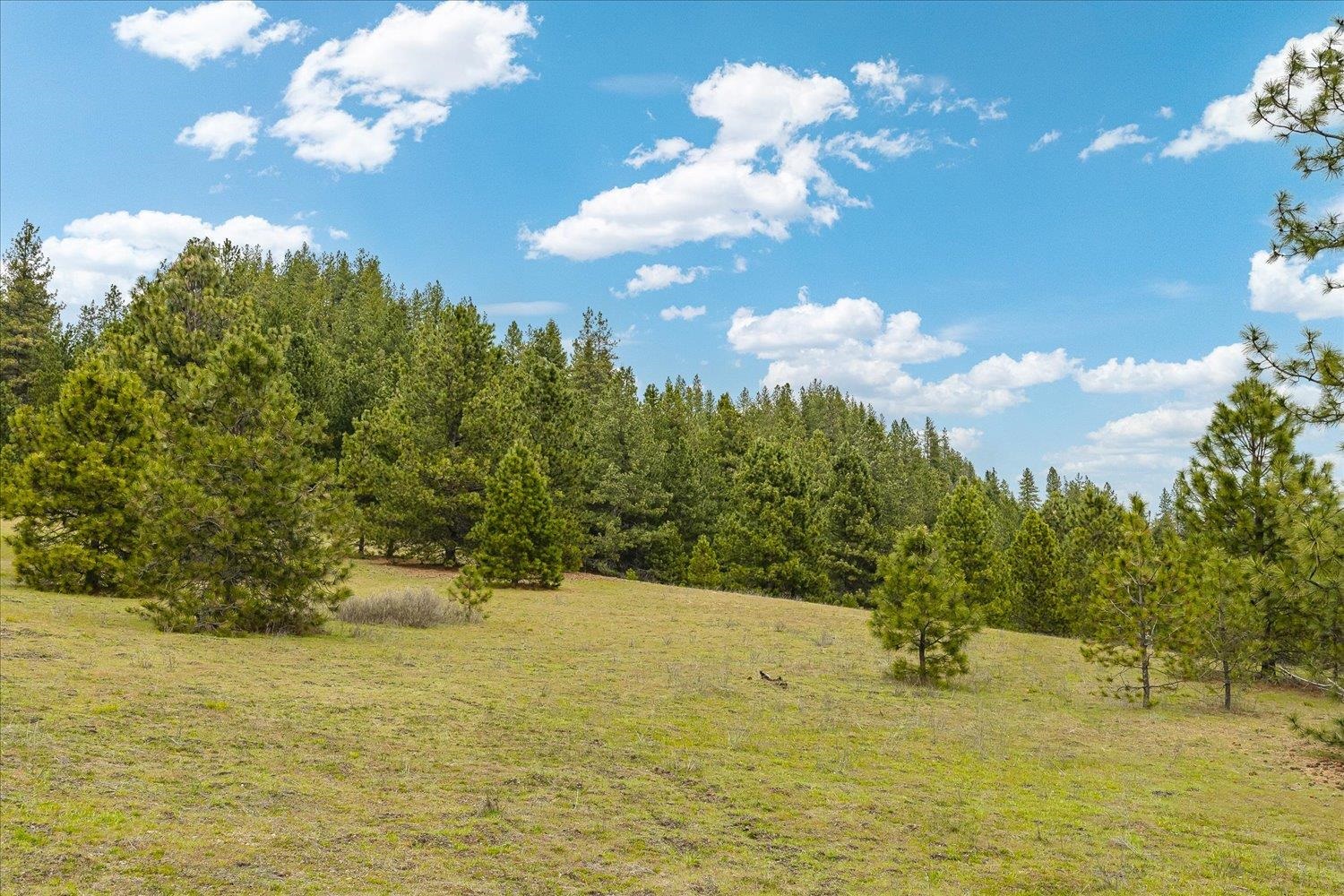 NKA Shults Ln - Photo 11