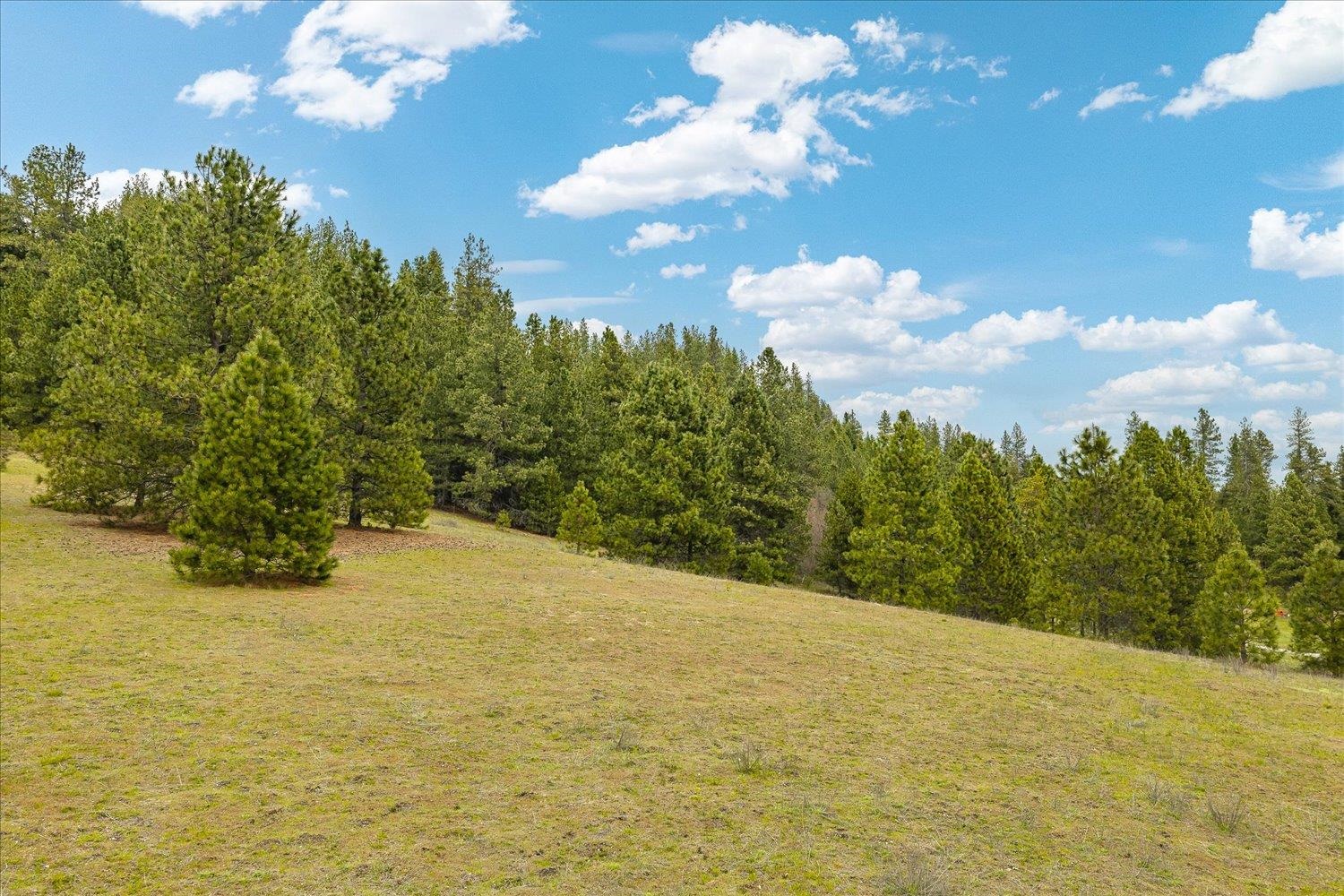 NKA Shults Ln - Photo 12