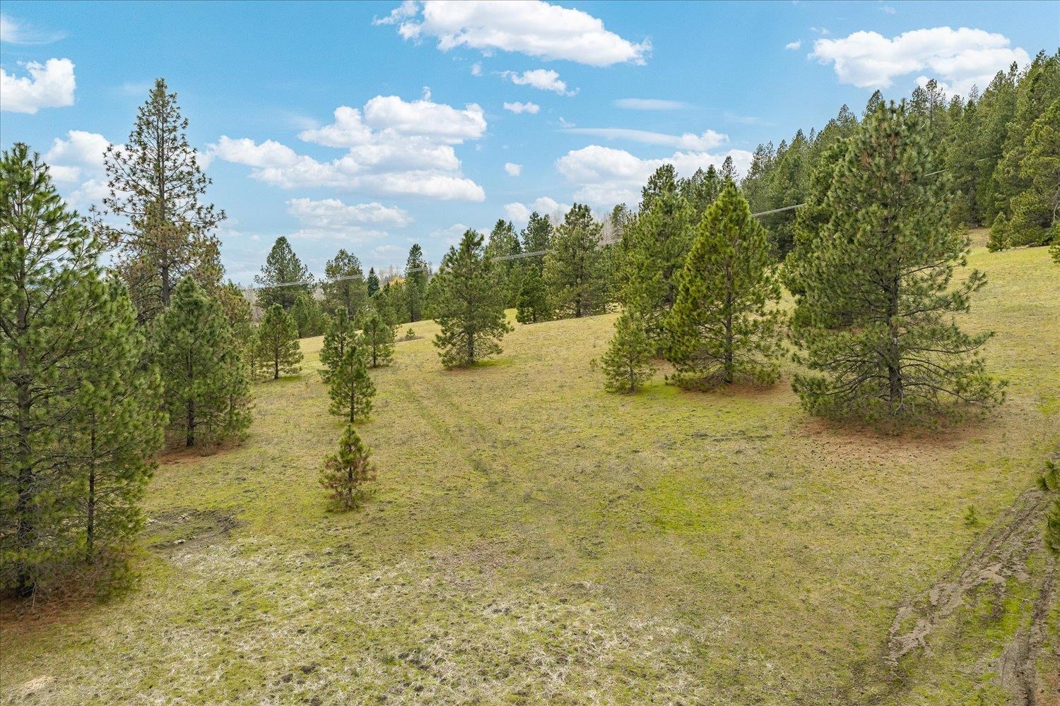 NKA Shults Ln - Photo 13