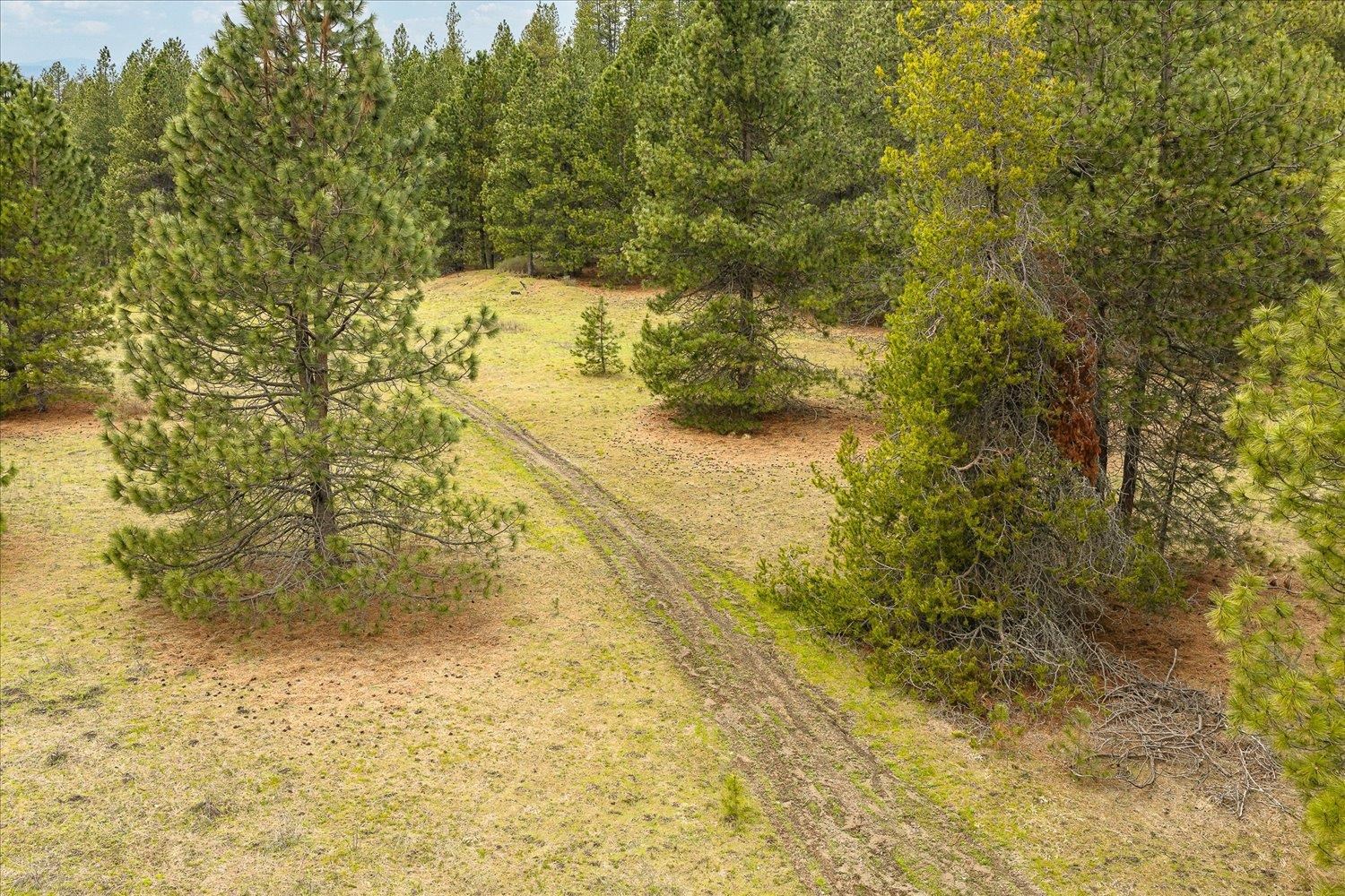 NKA Shults Ln - Photo 7