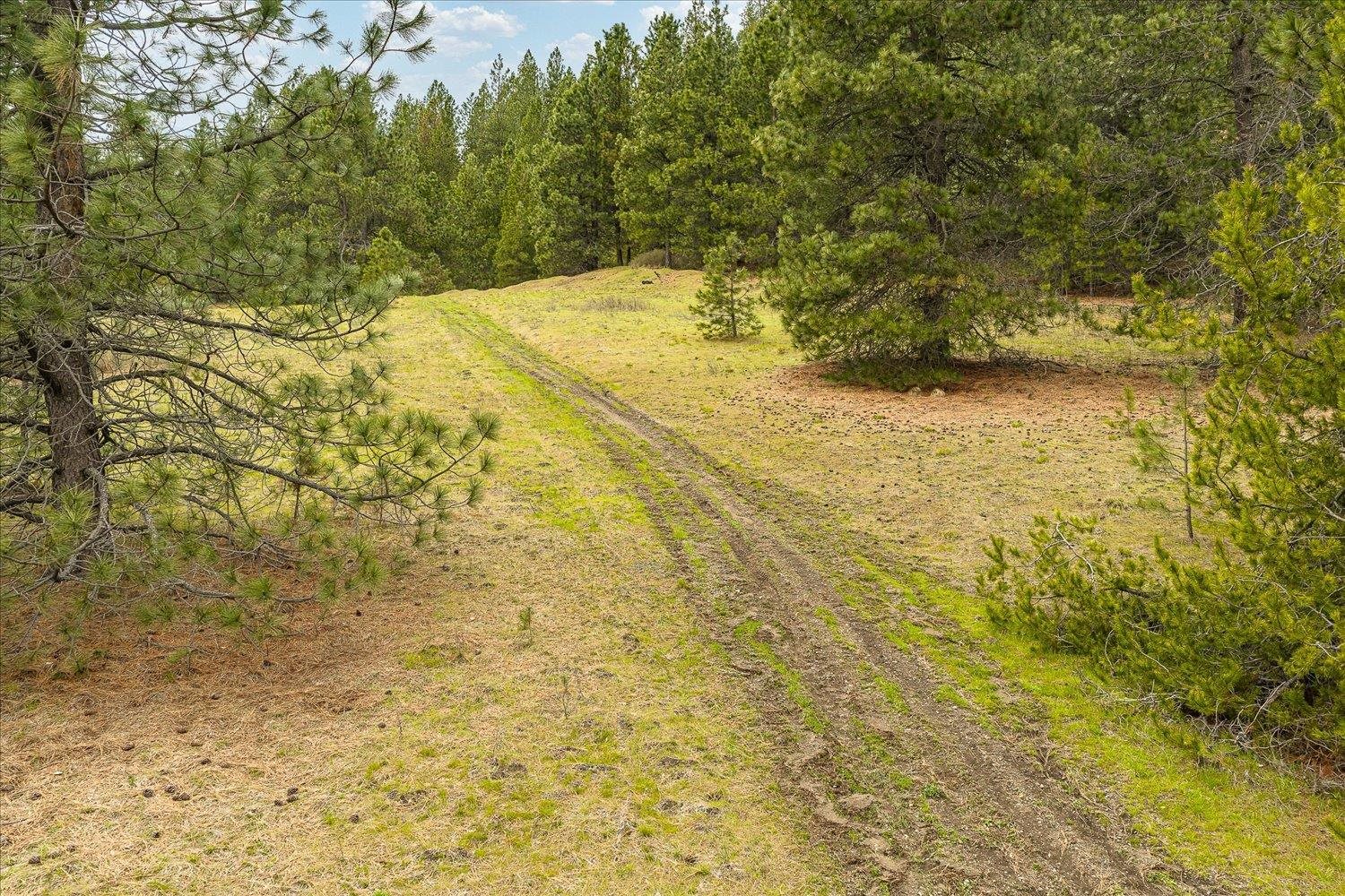 NKA Shults Ln - Photo 8