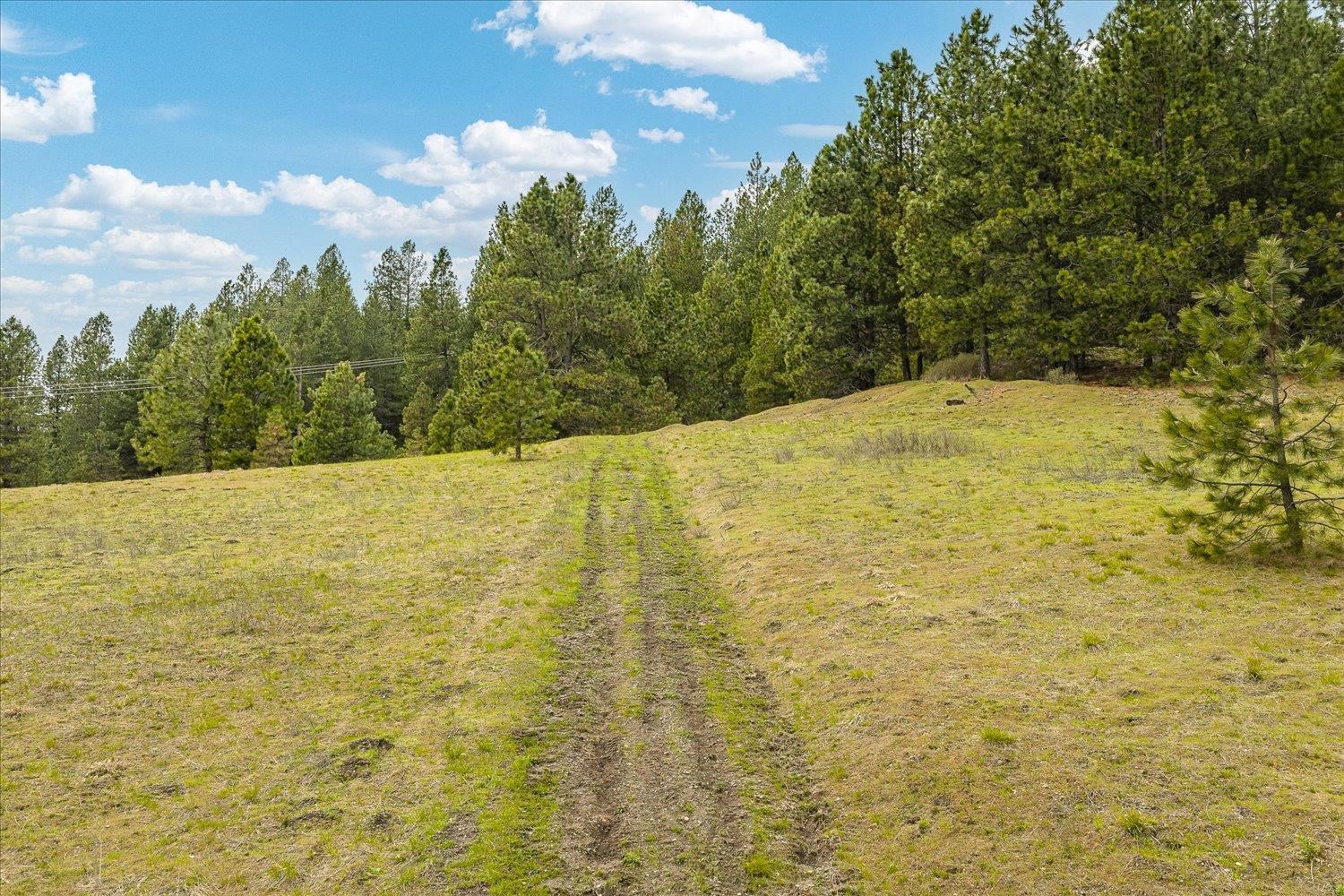 NKA Shults Ln - Photo 9