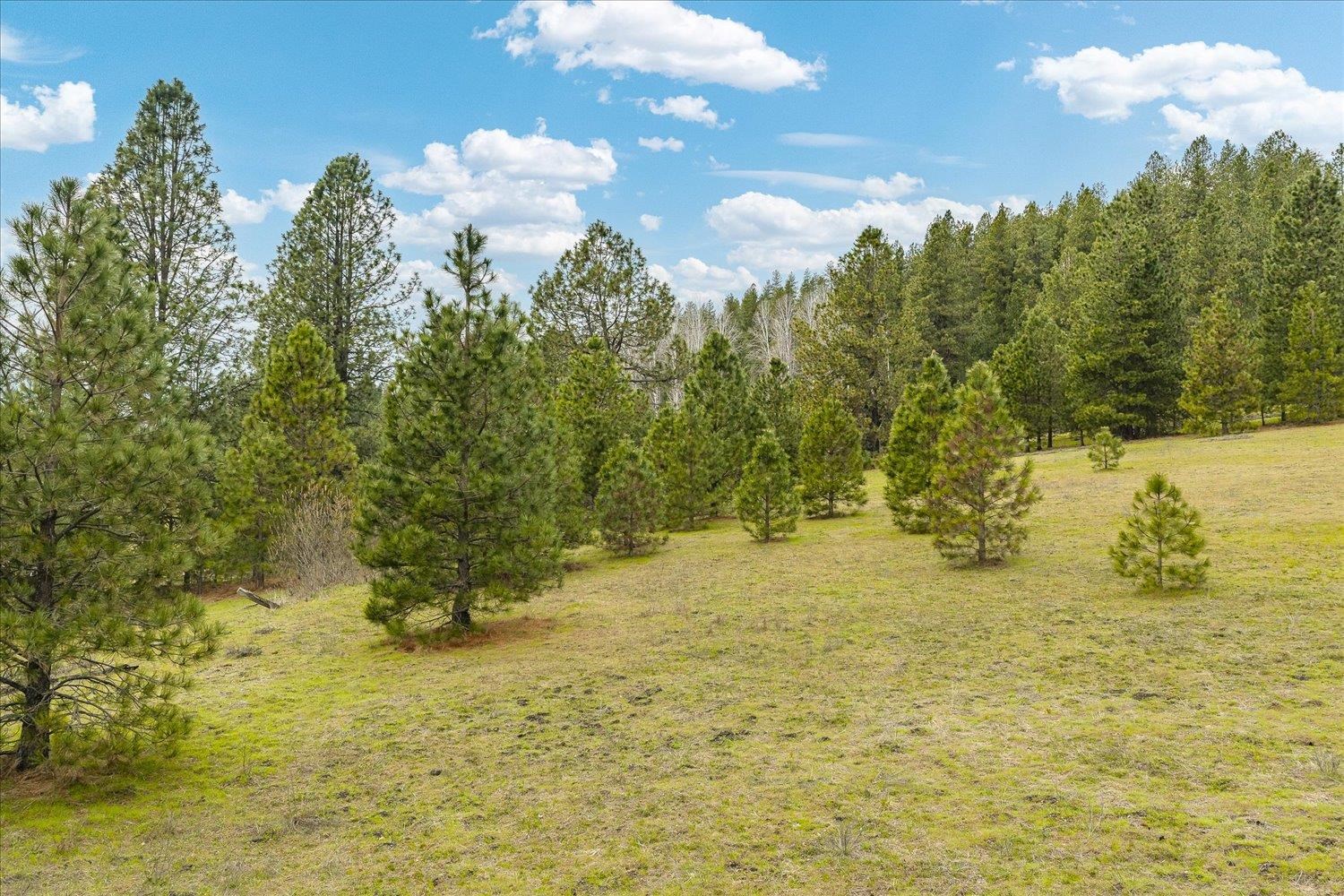 NKA Shults Ln - Photo 10