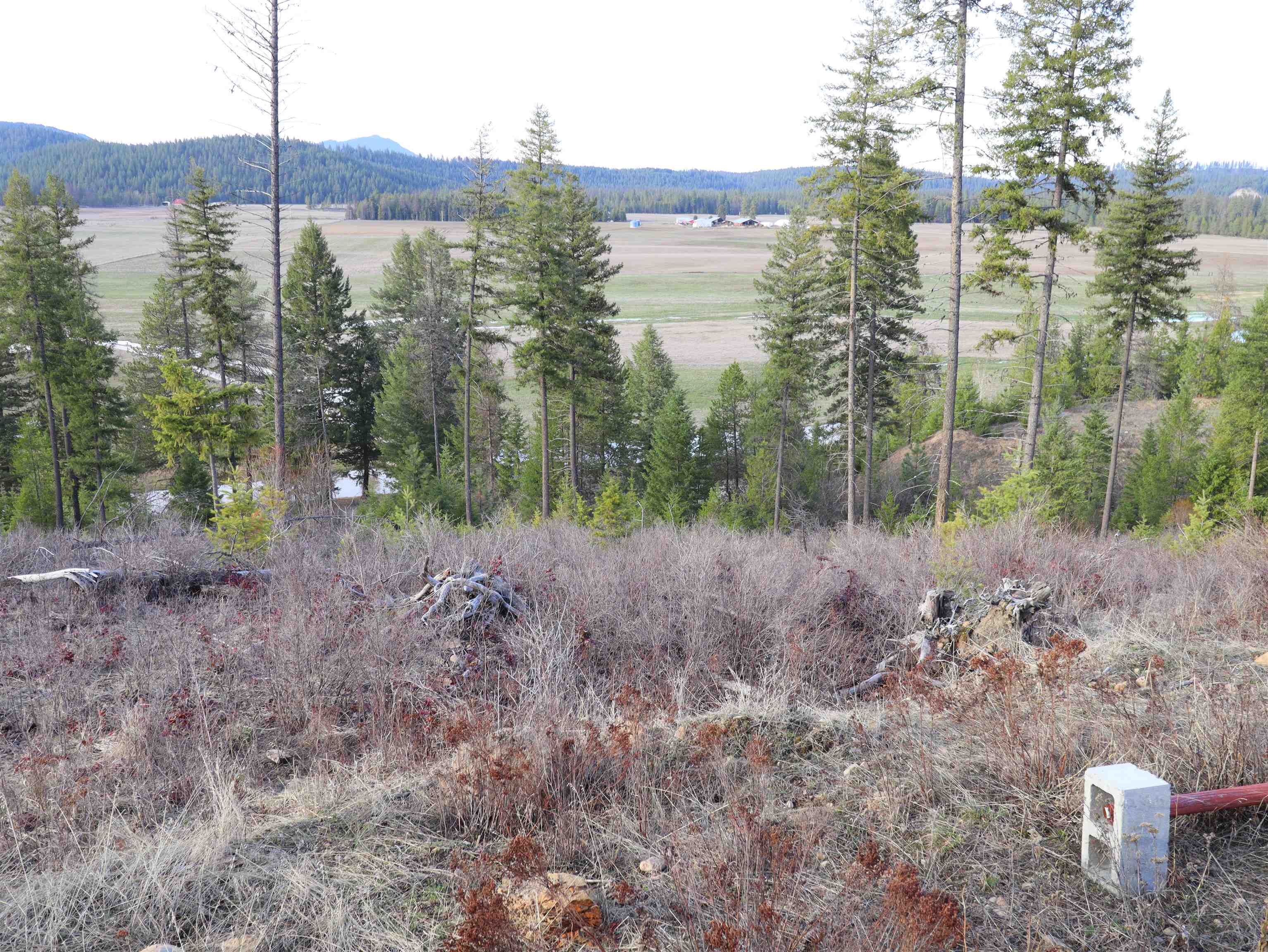 4962 Lyons Hill Rd - Photo 21