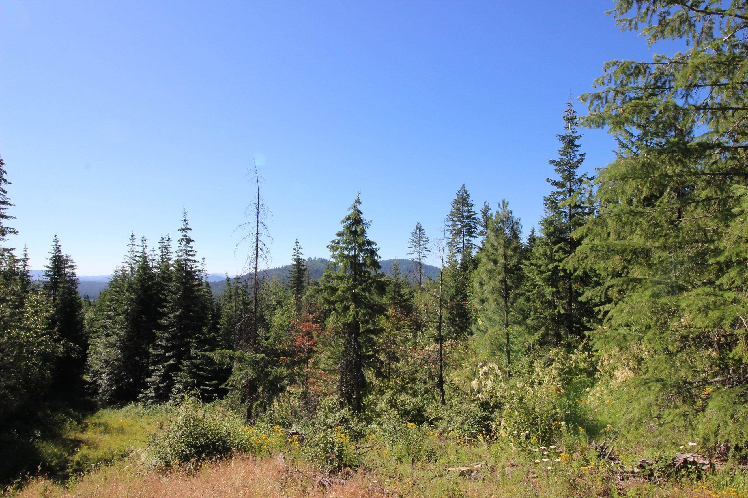 XXX Buck Creek Rd - Photo 11