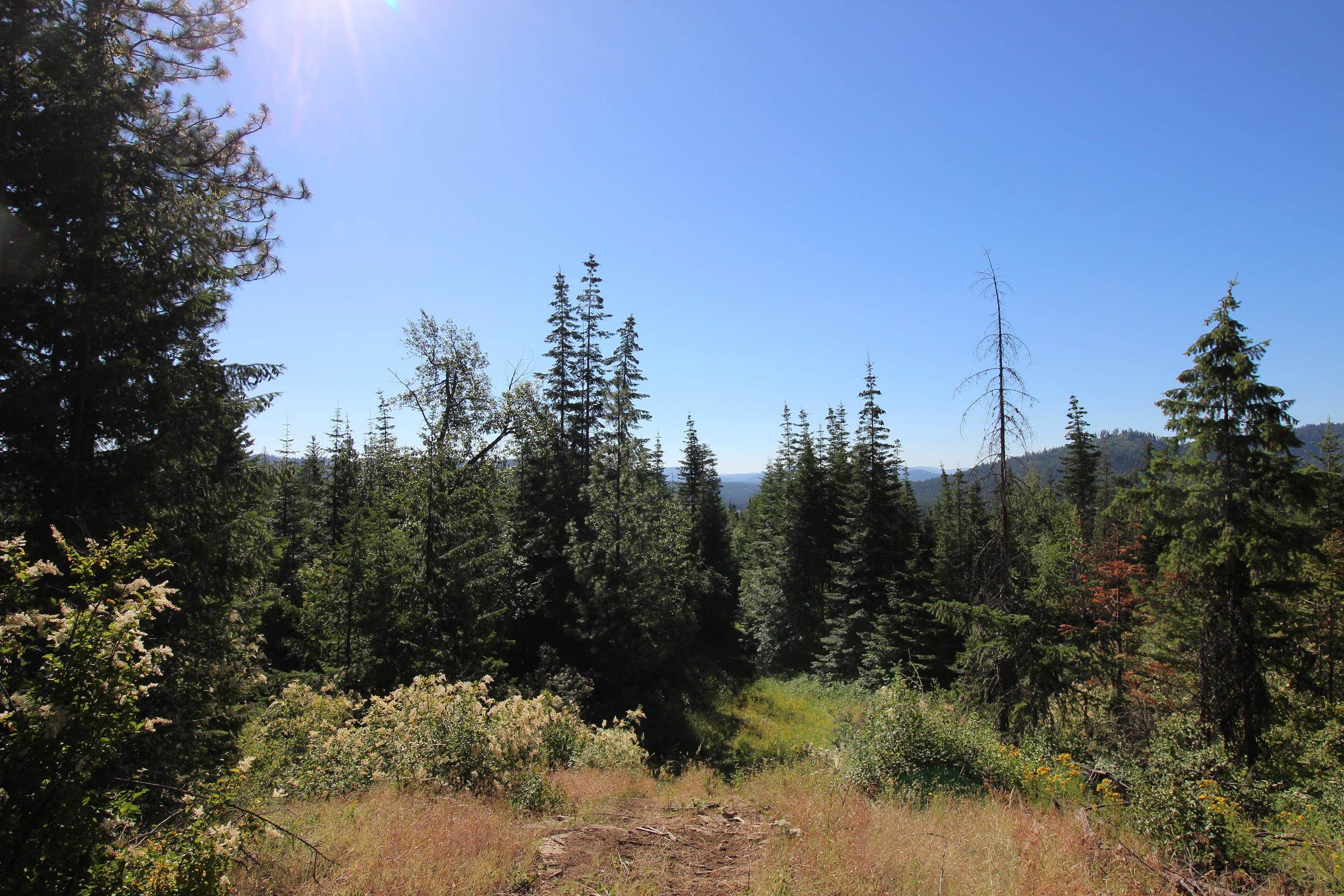 XXX Buck Creek Rd - Photo 12