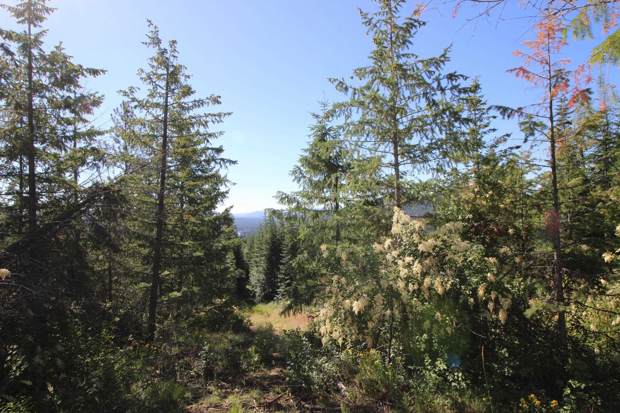 XXX Buck Creek Rd - Photo 13