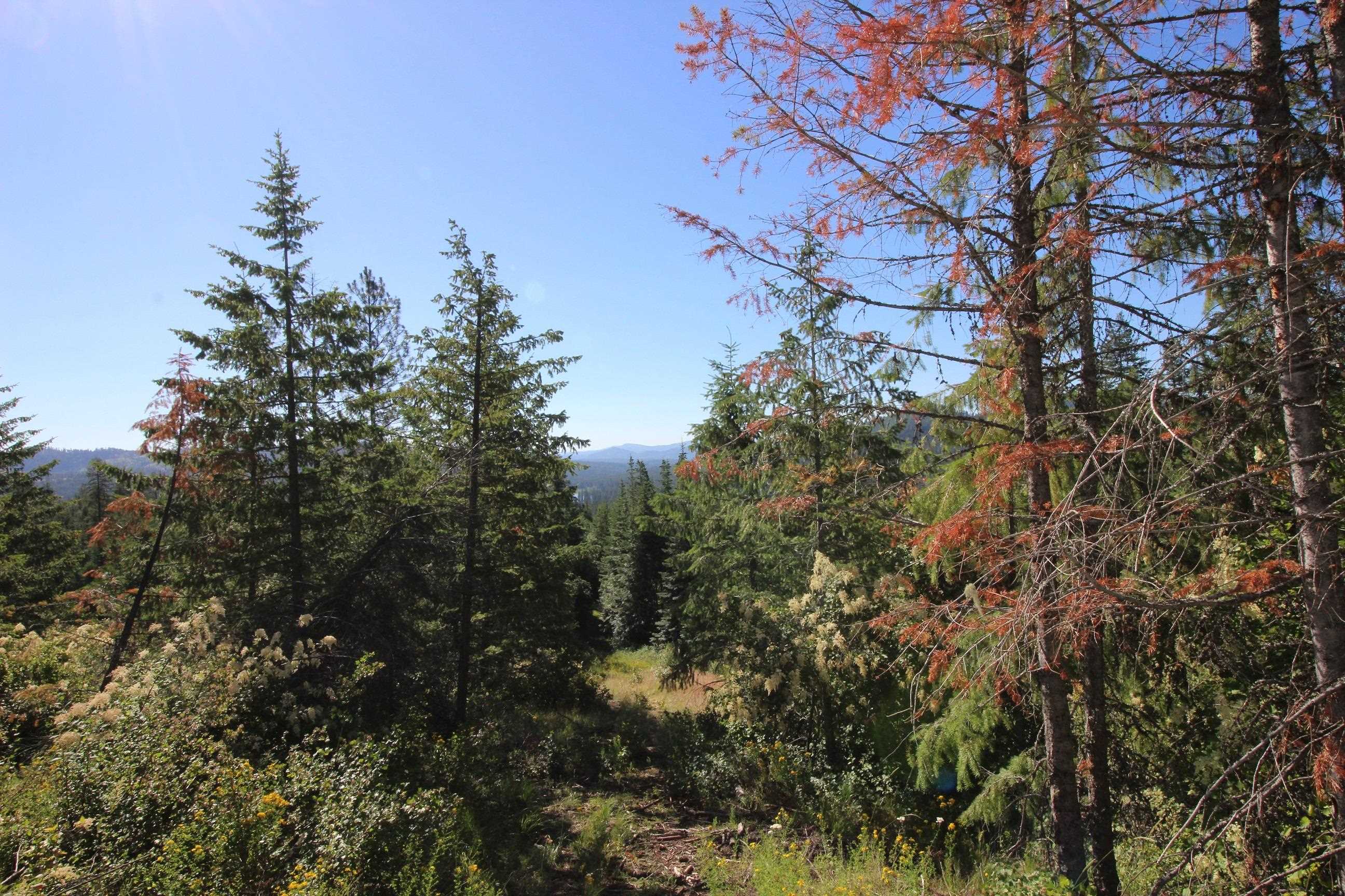 XXX Buck Creek Rd - Photo 14