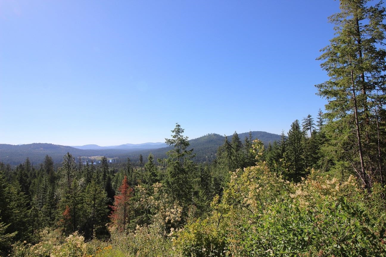 XXX Buck Creek Rd - Photo 15