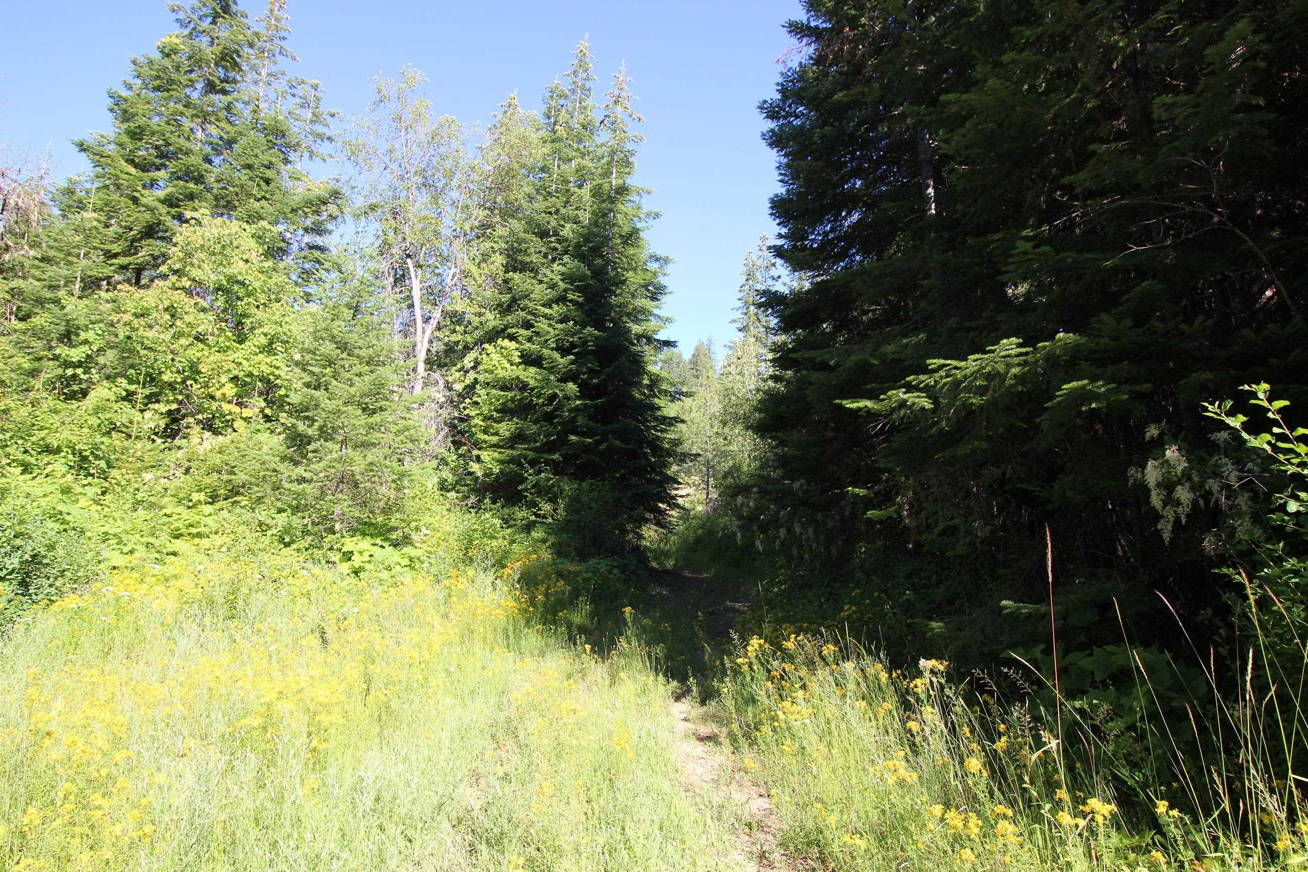 XXX Buck Creek Rd - Photo 16