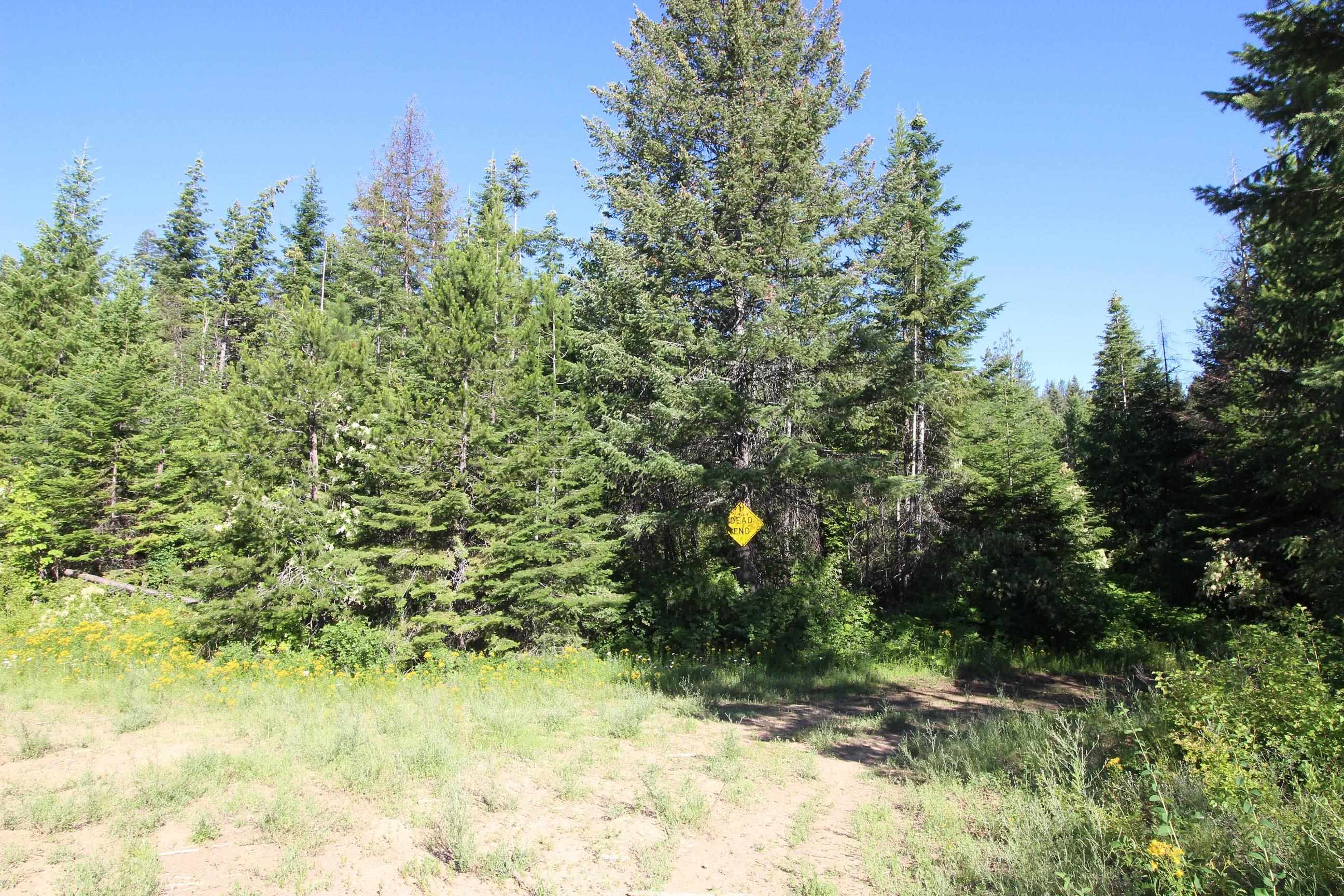 XXX Buck Creek Rd - Photo 17